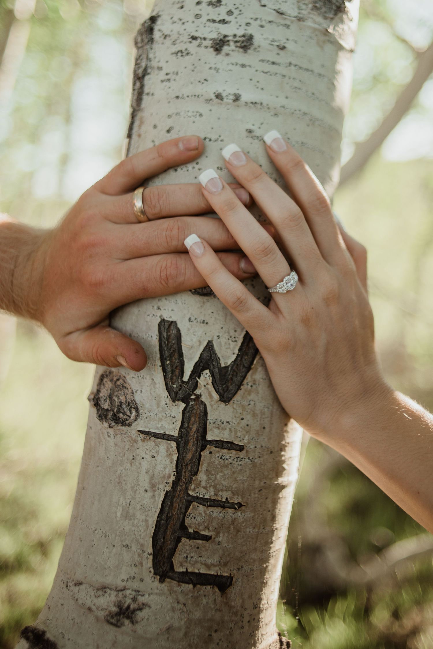 Two hands with wedding rings touch a birch tree trunk with carved initials.