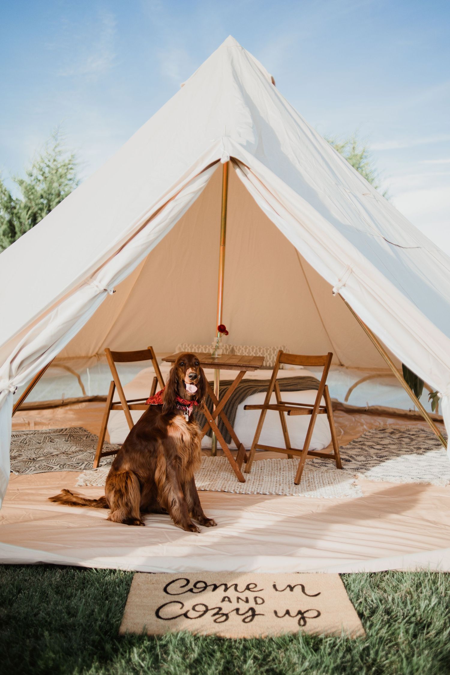 A large white bell tent with a brown dog sitting at the entrance and a welcome mat.