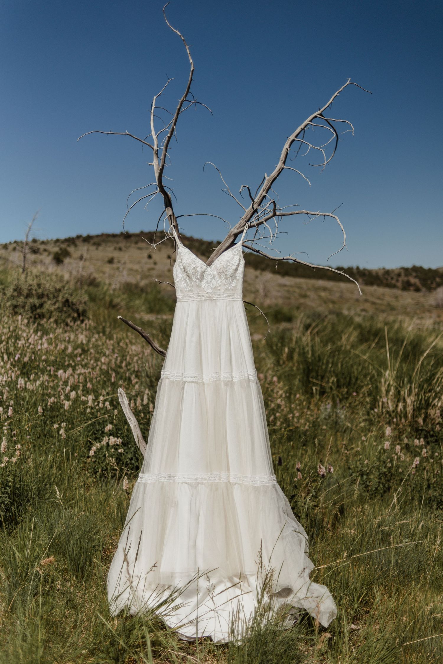 A white wedding dress hangs from a bare tree branch against a blue sky.