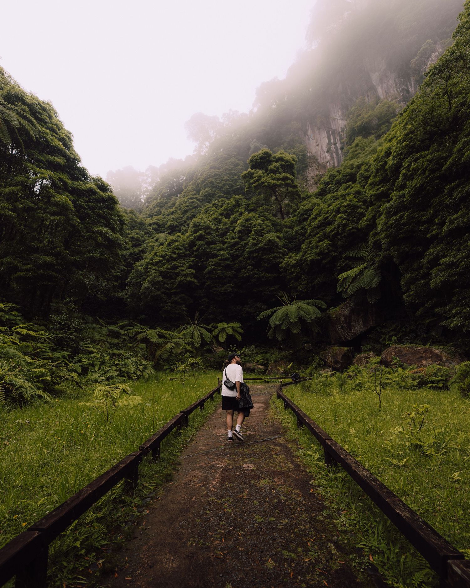 A lone hiker walks on a misty path through lush green mountains and ferns.