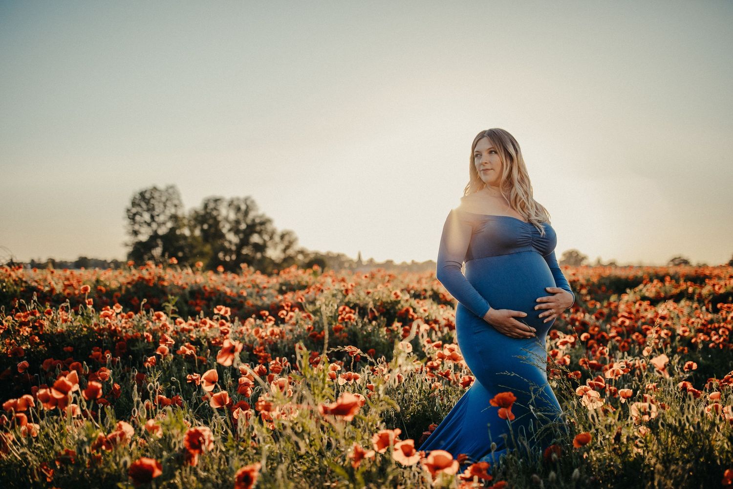 Mutterschaftsfoto in fließendem blauem Kleid inmitten eines Feldes mit roten Mohnblumen bei Sonnenuntergang.