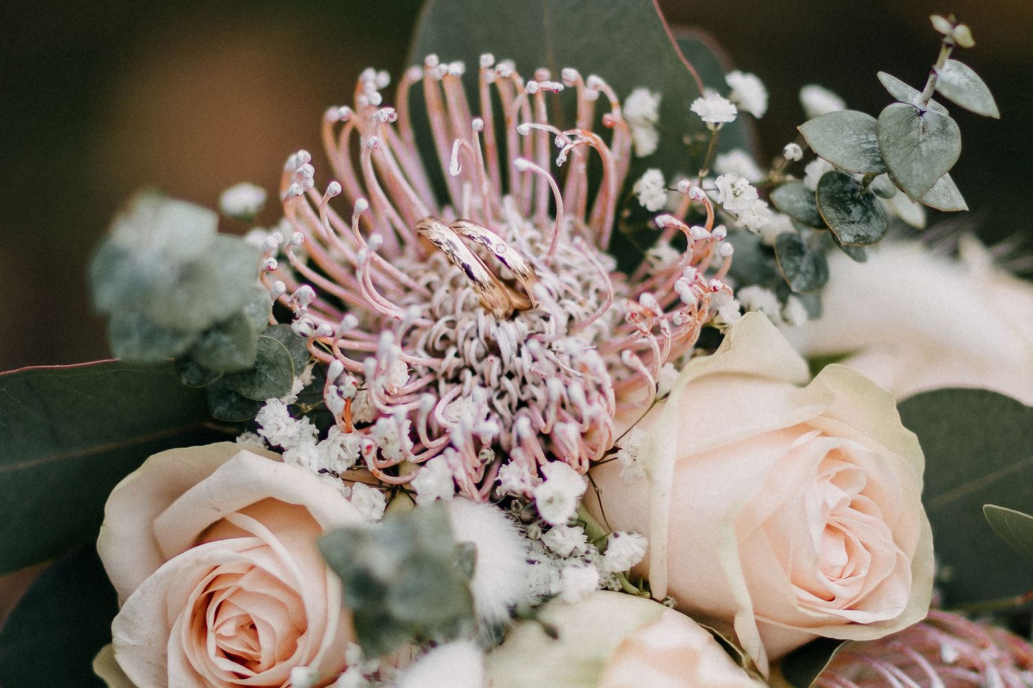 Rosa Protea und errötende Rosen, arrangiert in einem romantischen Hochzeitsstrauß mit Eukalyptus-Akzenten in Wolfsburg.