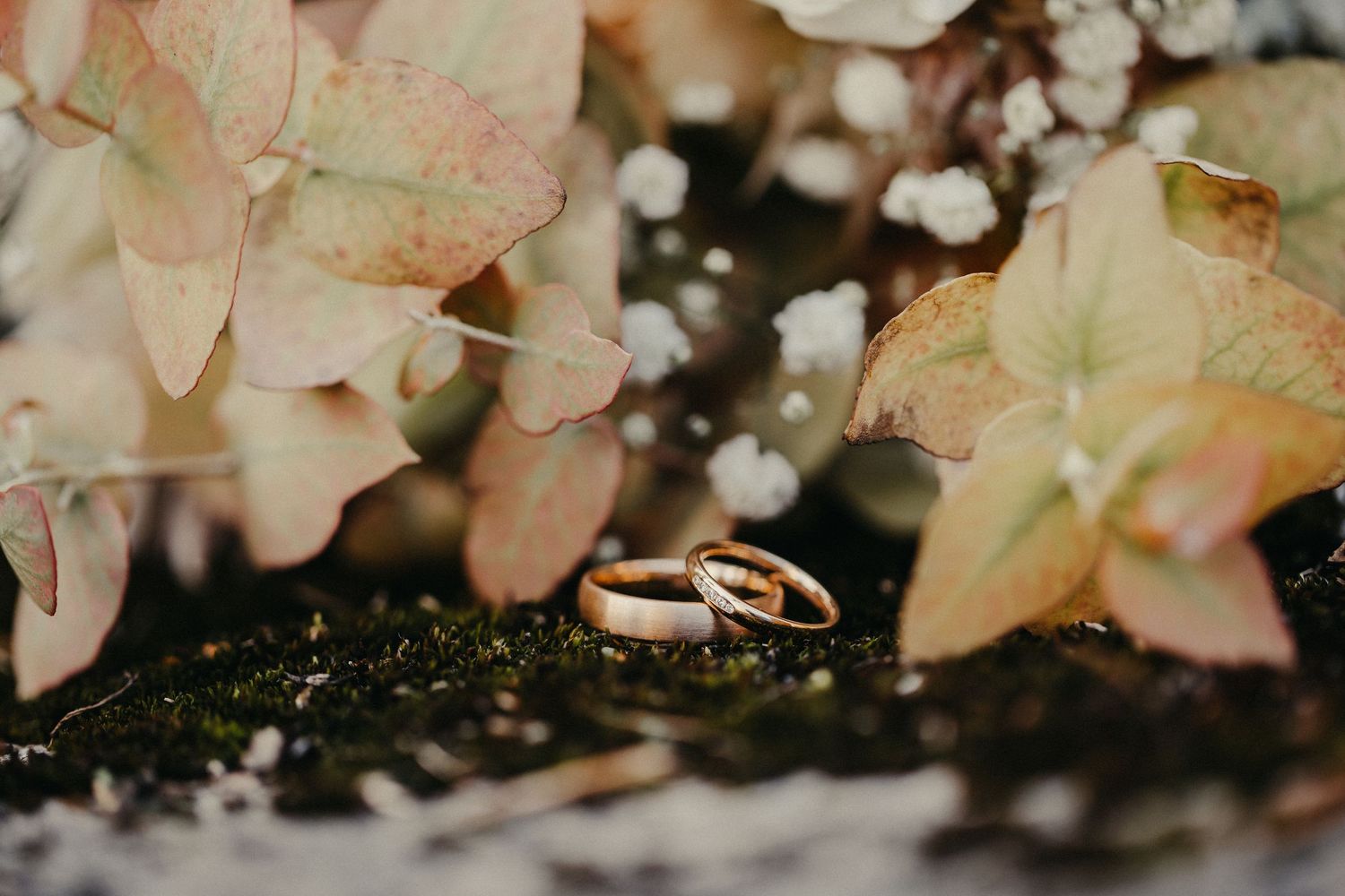 Eheringe eingebettet zwischen zarten rosa Blättern mit Glitzern und Textur in der Makrofotografie.