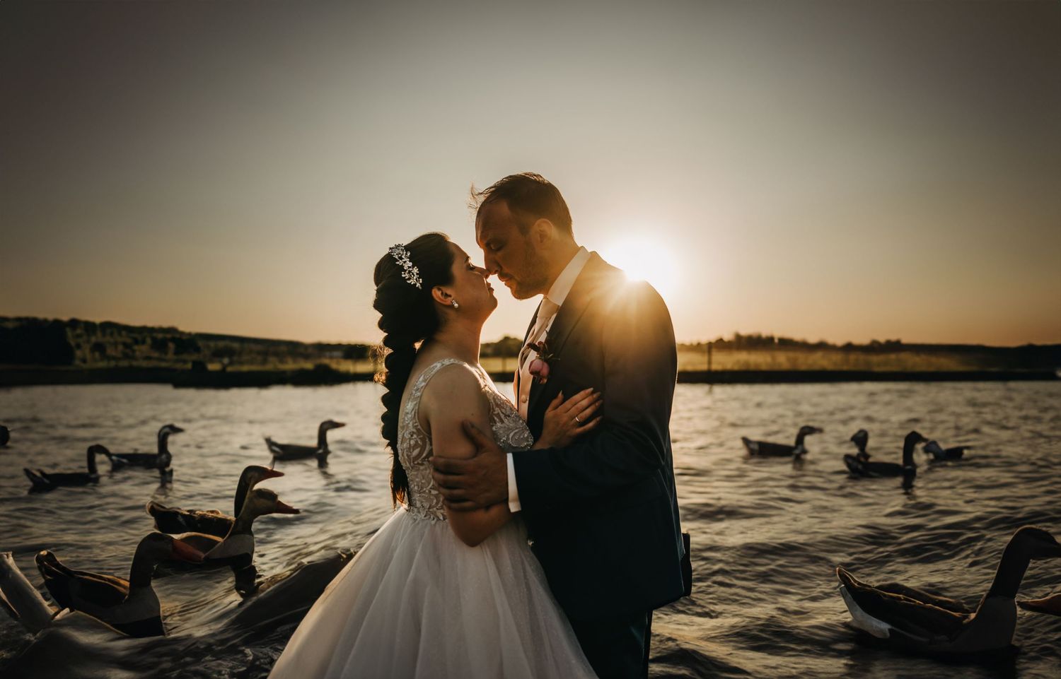 Sunset wedding photo with swans swimming in lake as couple shares intimate moment.