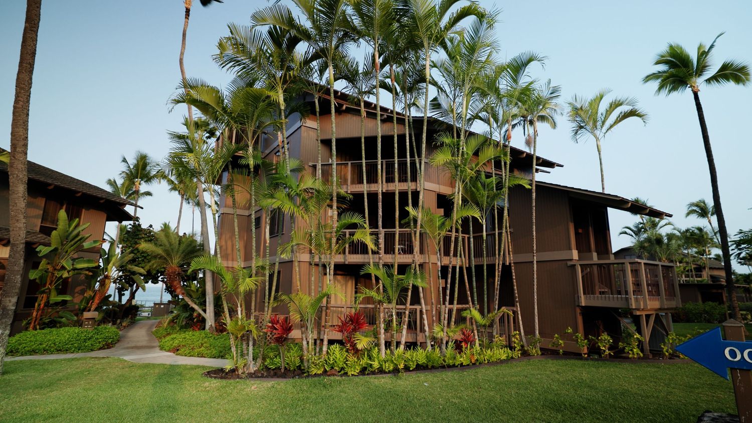 Tropical resort building surrounded by tall palm trees in Hawaii.
