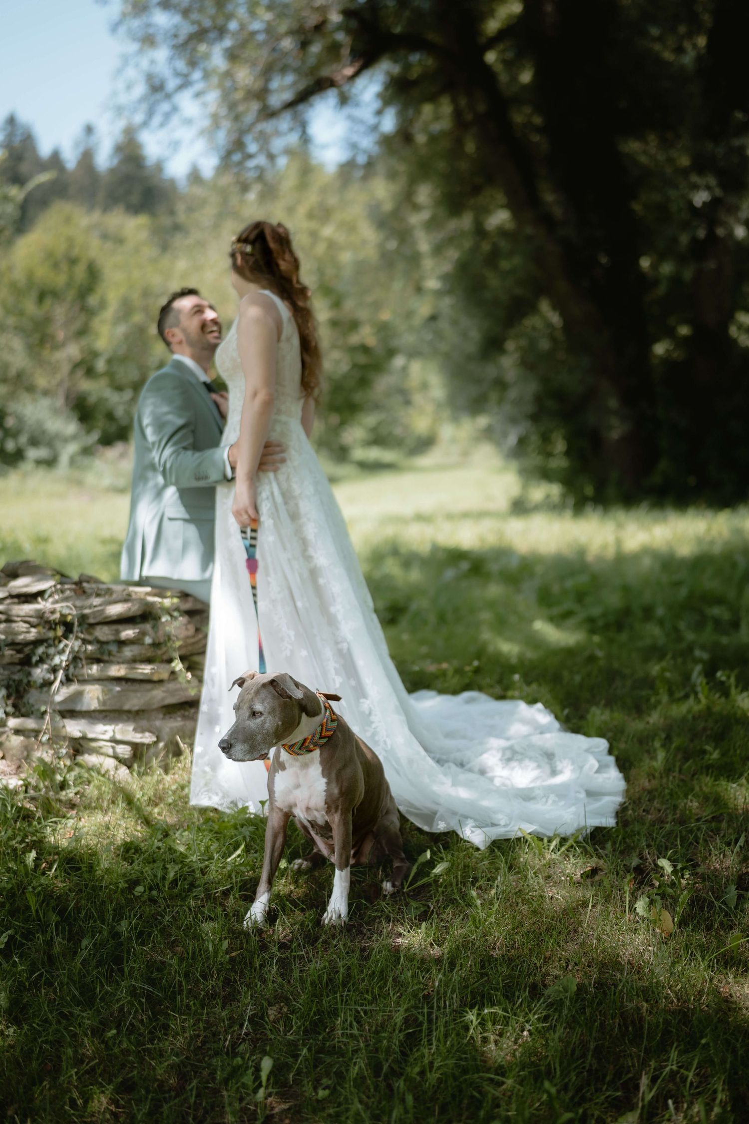 Anna und Markus mit ihrem Hund bei einem liebevollen Brautpaarshooting im Schatten der Bäume – Vorarlberg Hochzeit mit NuMa Fotografie