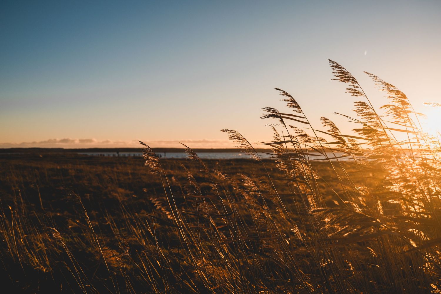 Naturfotografie Mecklenburg-Vorpommern