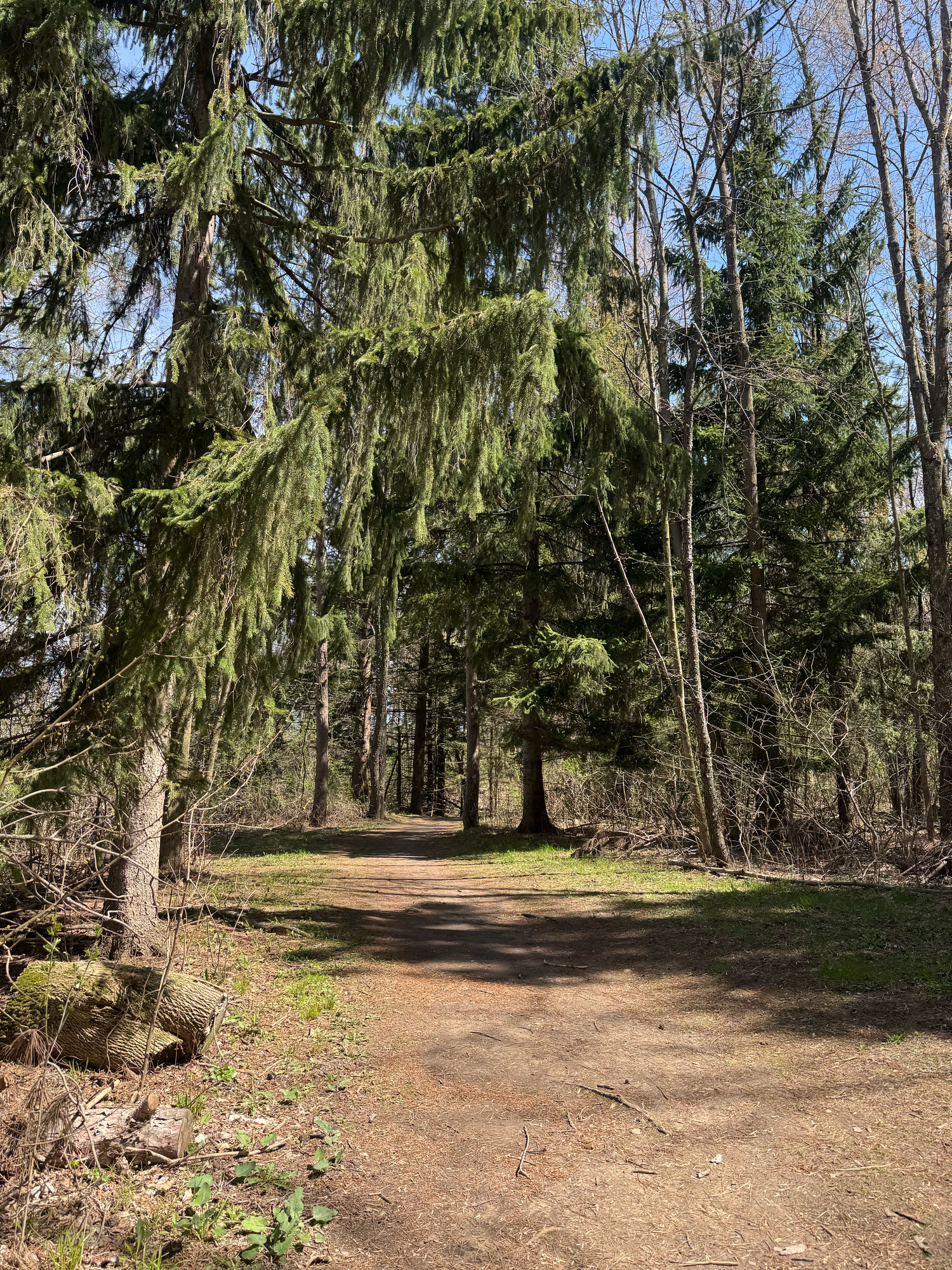 Pike Lake Sate Park Ice Age Trail Hartford Wisconsin Photographer Photography