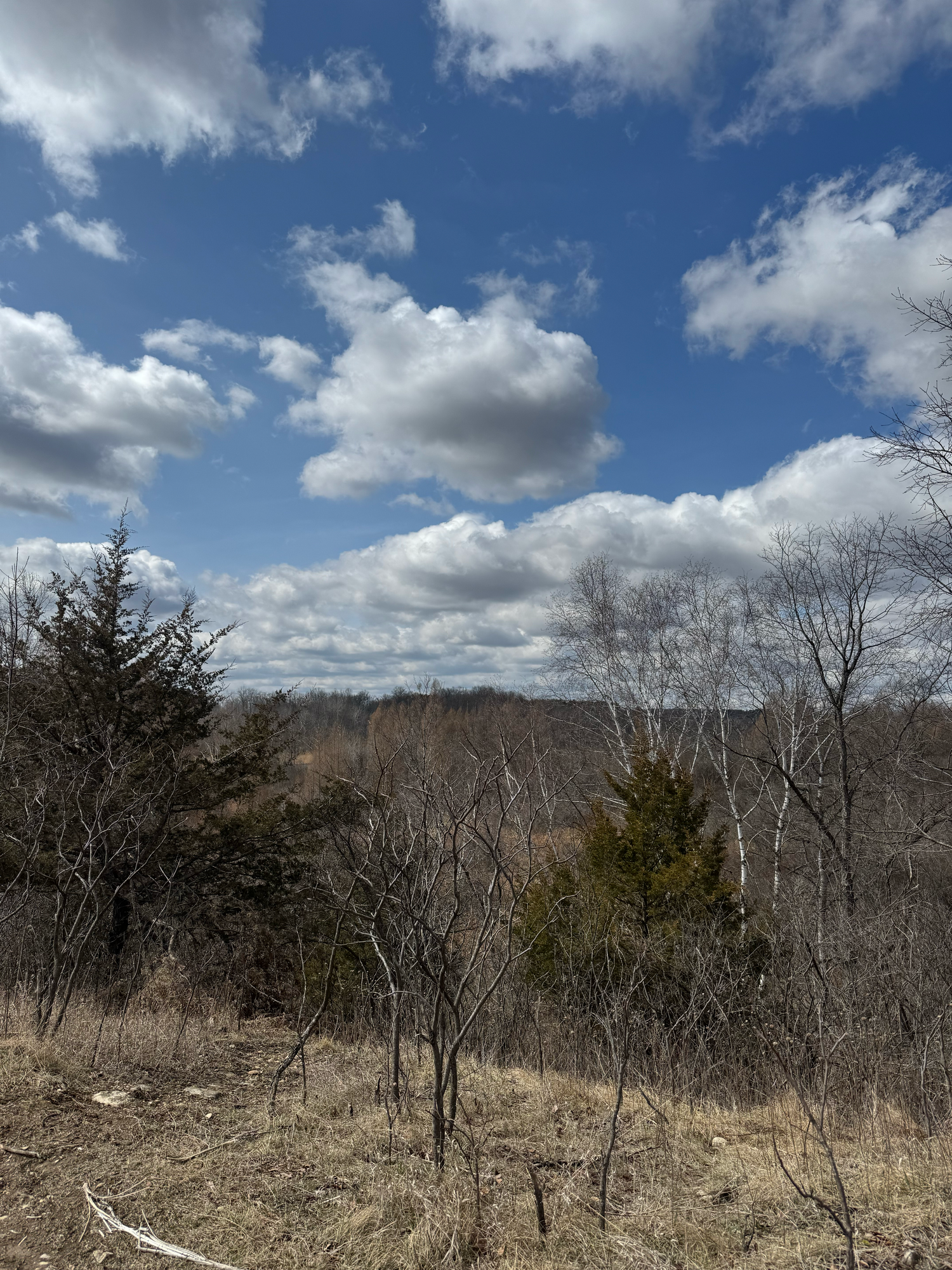 Loew Lake Unit Kettle Moraine State Forest Ice Age National Scenic Trail Wisconsin Photographer Hartford Slinger Erin