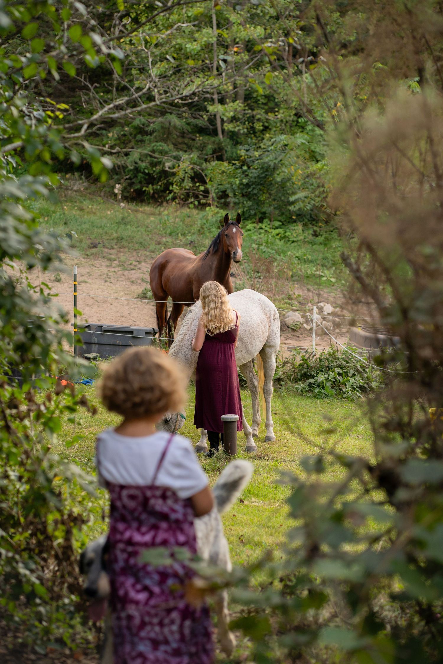 Person in floral dress photographs brown and white horses on scenic woodland trail.