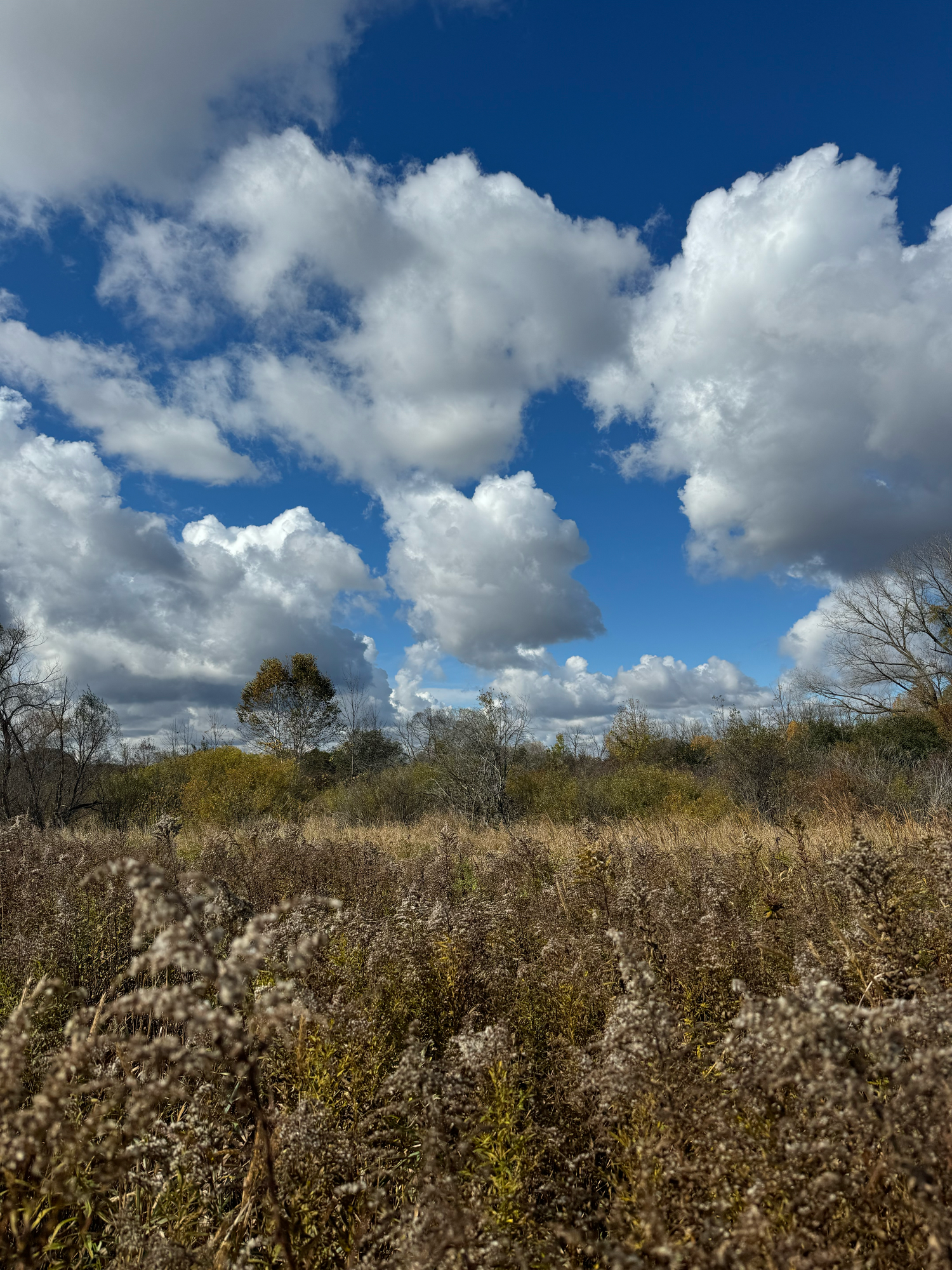 Decorah Woods Ozaukee Washington Land Trust Wisconsin Photographer West Bend