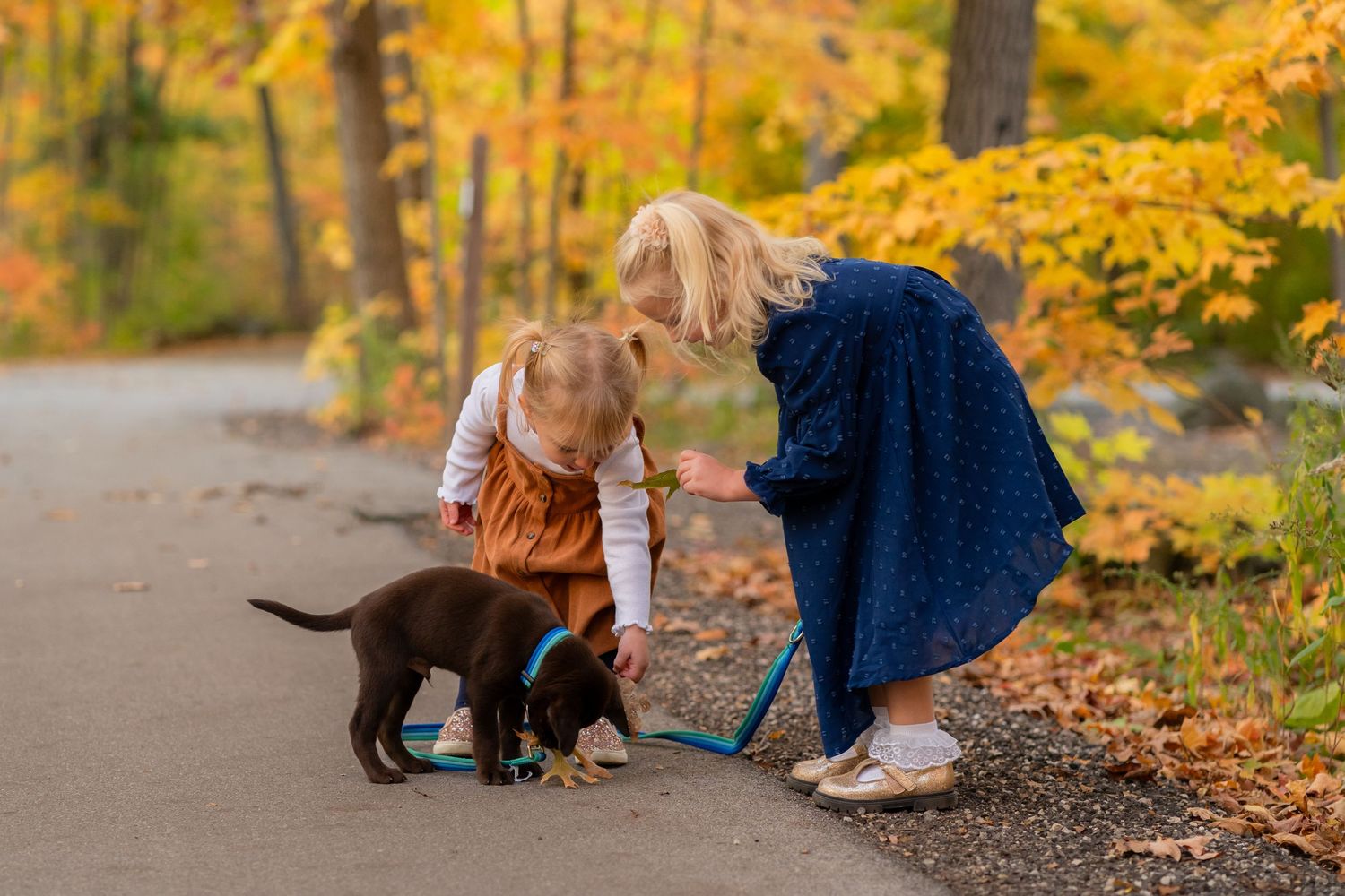 Two people pet a black puppy on a path surrounded by vibrant yellow fall foliage.