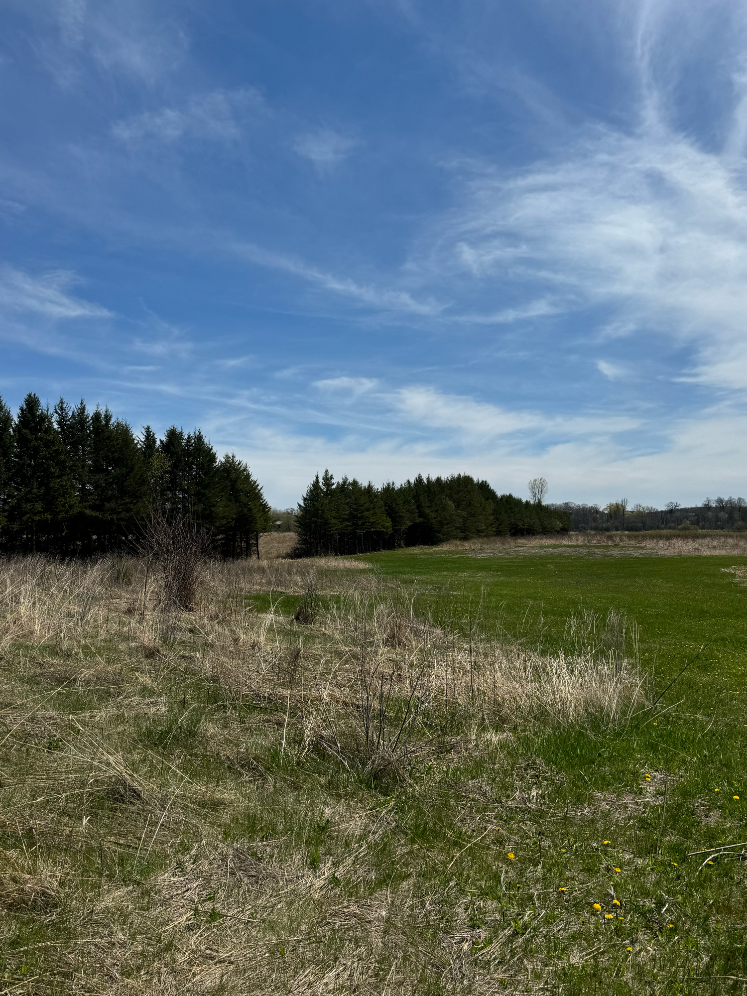Allenton Marsh Wildlife Area Wisconsin Photographer Hartford Slinger Jackson Richfield Holy Hill