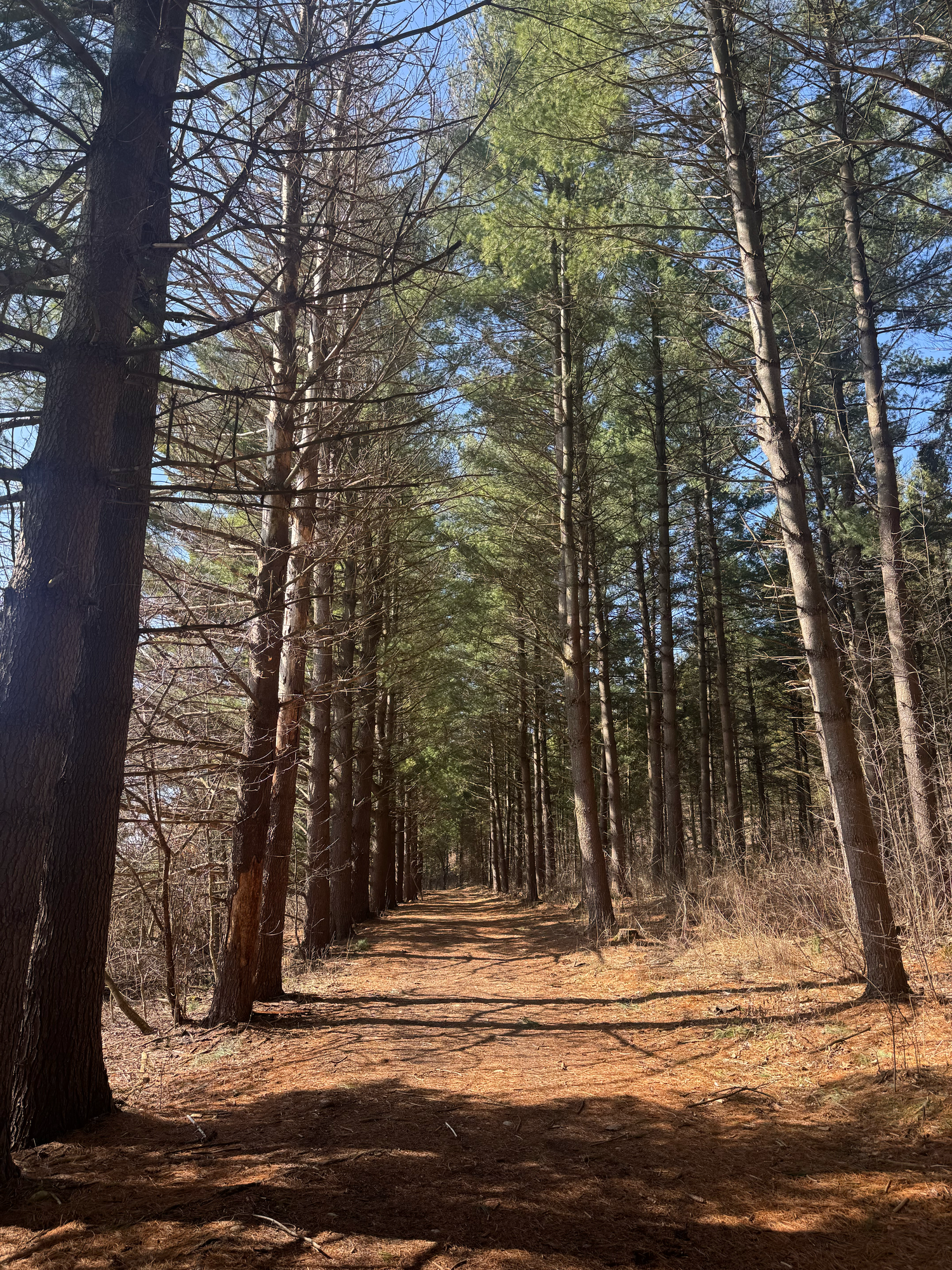 Loew Lake Unit Kettle Moraine State Forest Wisconsin Photographer Hartford Slinger Erin