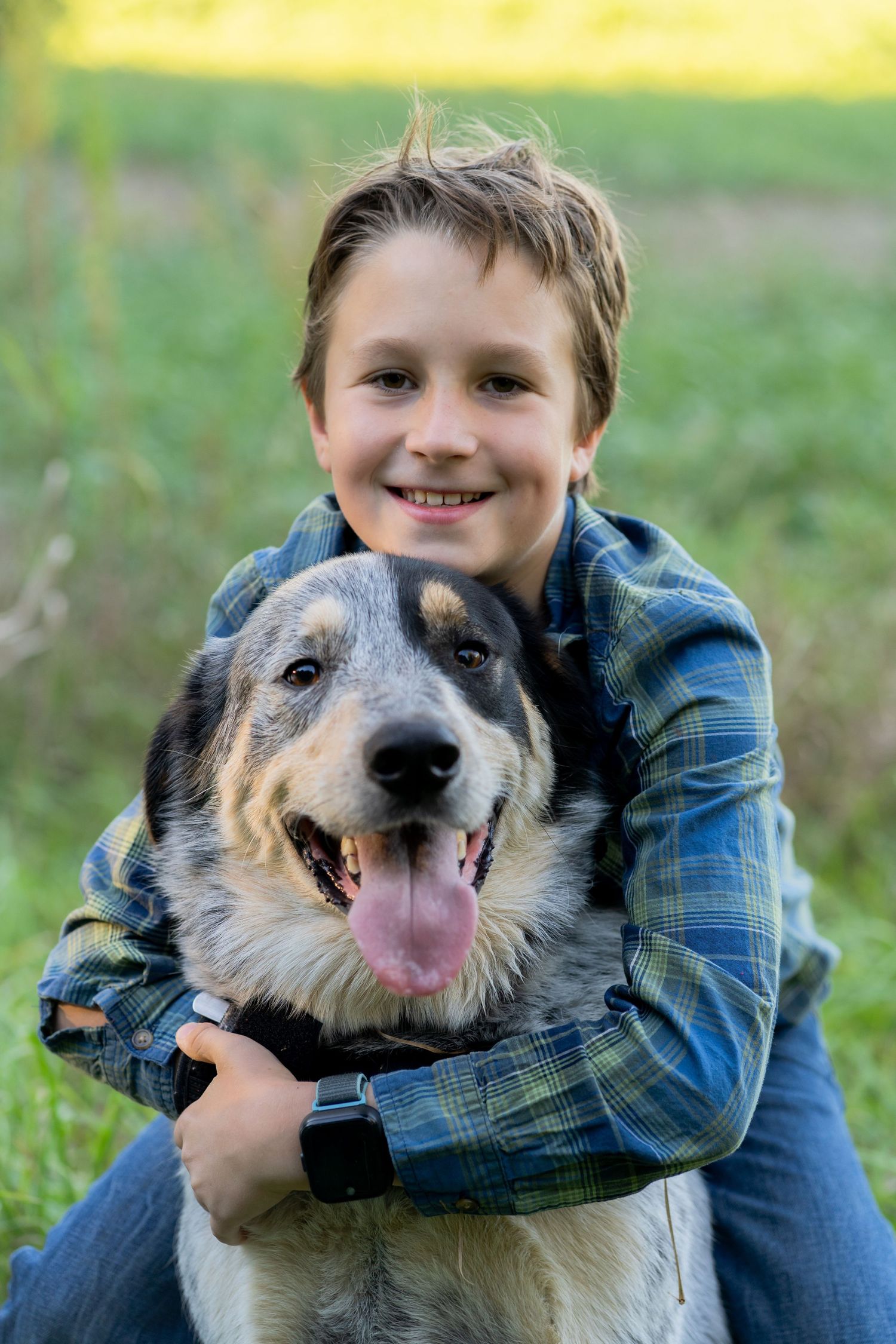 Australian Shepherd mix dog with speckled fur being hugged by someone in a blue plaid shirt on grassy lawn.
