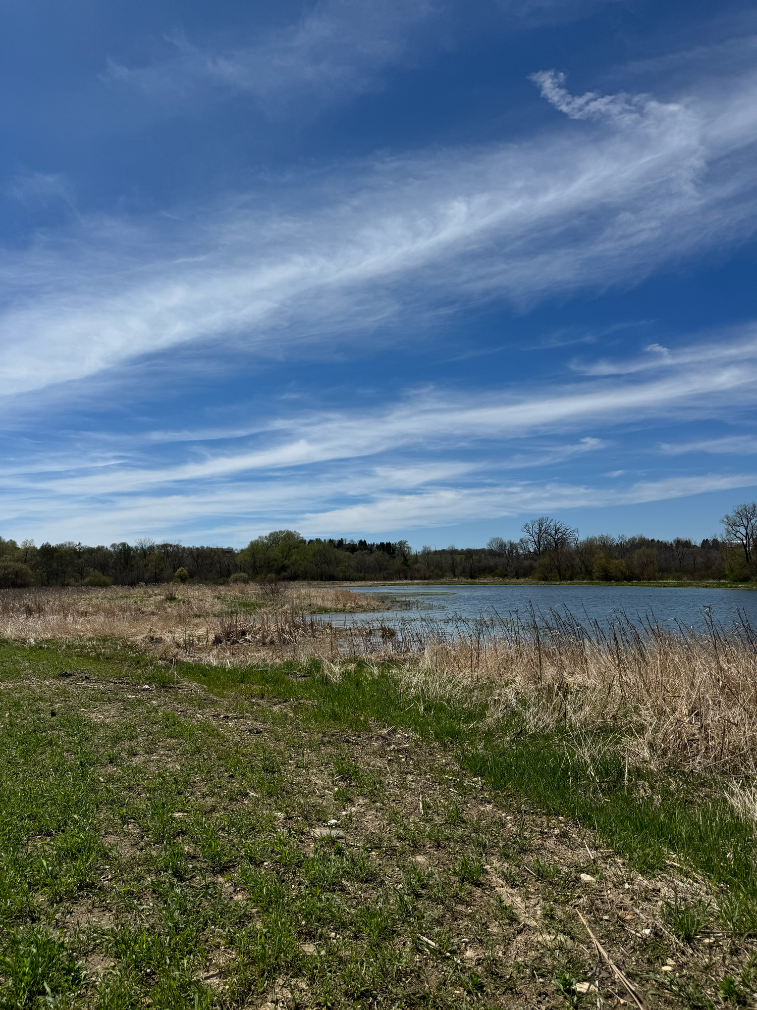 Allenton Marsh Wildlife Area Wisconsin Photographer Hartford Slinger Jackson Richfield Holy Hill