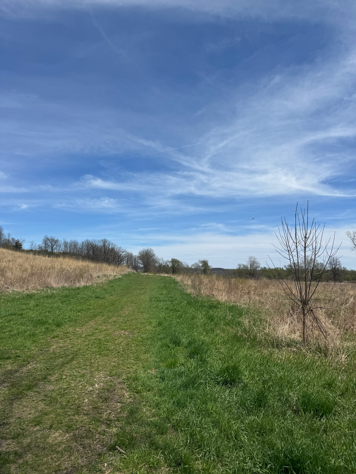 Allenton Marsh Wildlife Area Wisconsin Photographer Hartford Slinger Jackson Richfield Holy Hill