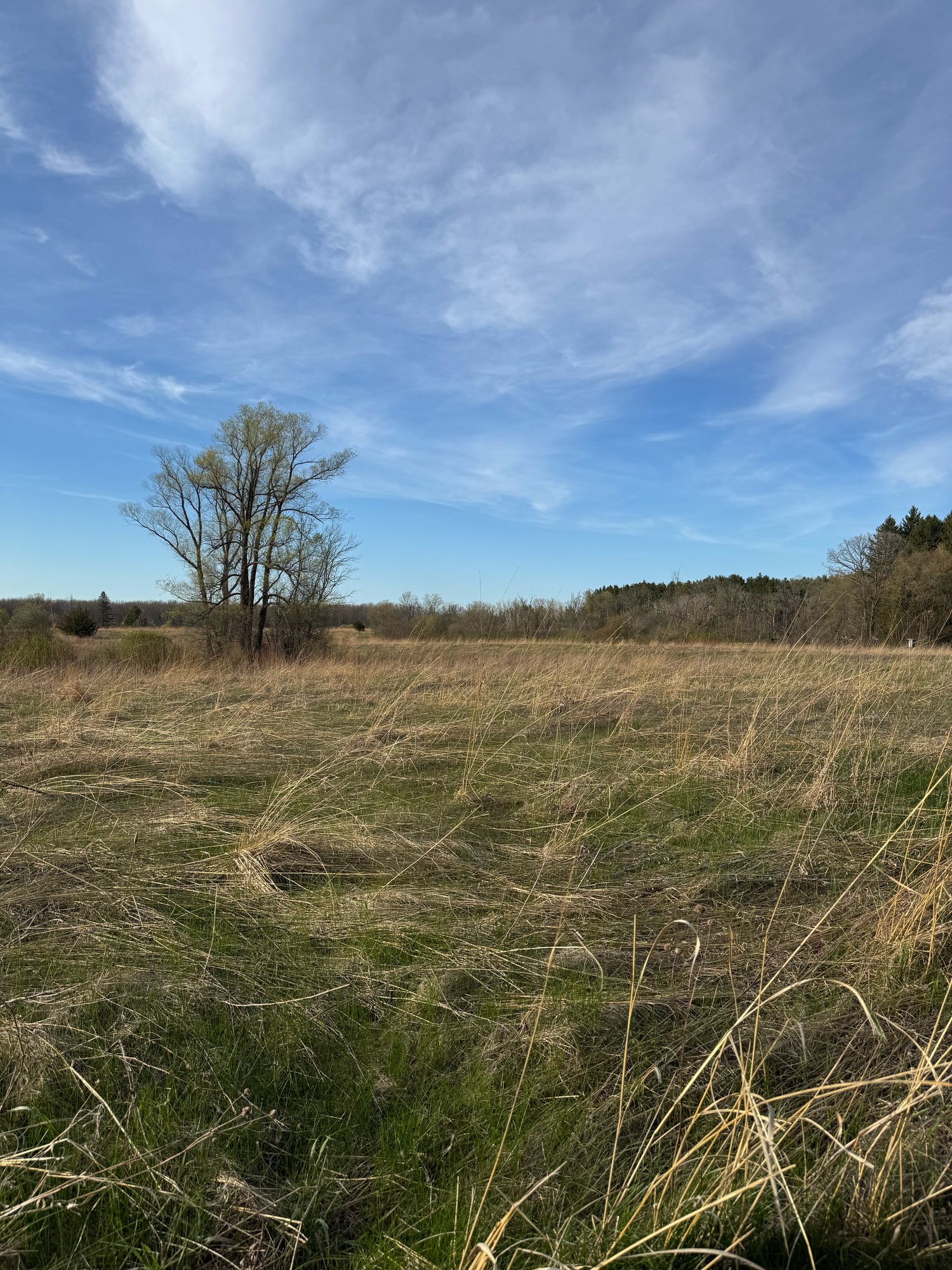 Fellenz Woods Ozaukee Washington Land Trust Wisconsin Photographer West Bend Trenton Myra
