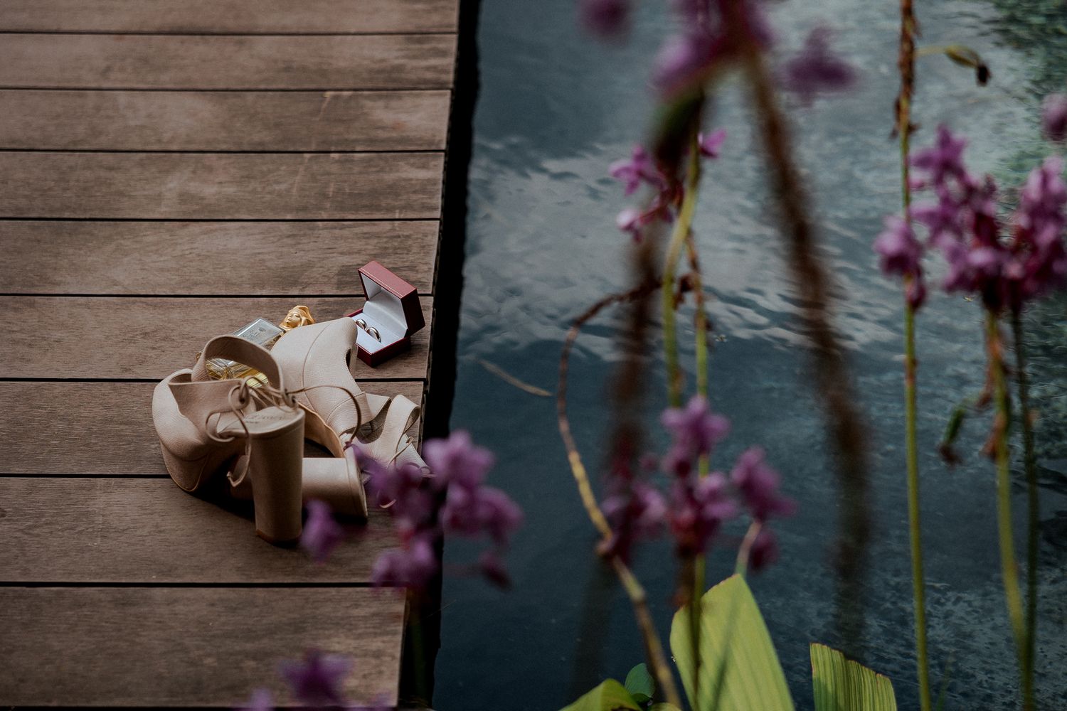 A pair of pale pink ballet shoes lies on wooden decking with purple wildflowers in the foreground.