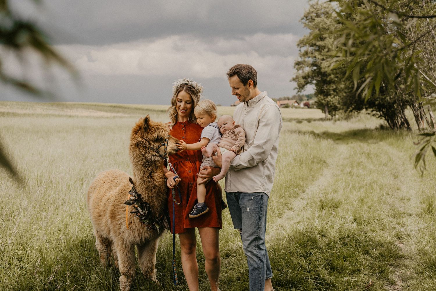 Familienfoto mit Eltern und zwei Kindern im Sommer auf einer Wiese