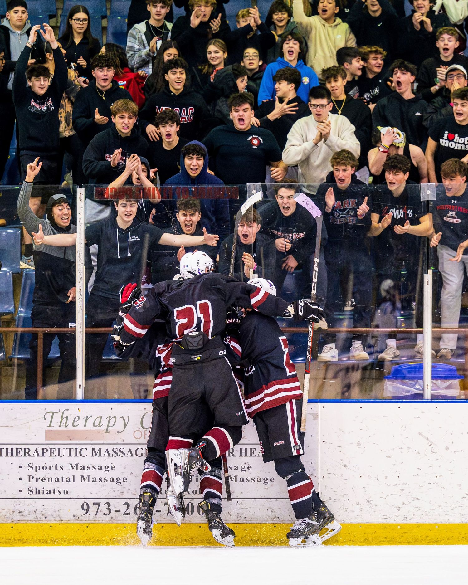 Park Regional hockey action