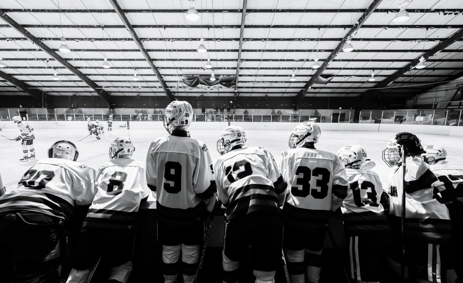 Clary Anderson hockey rink.