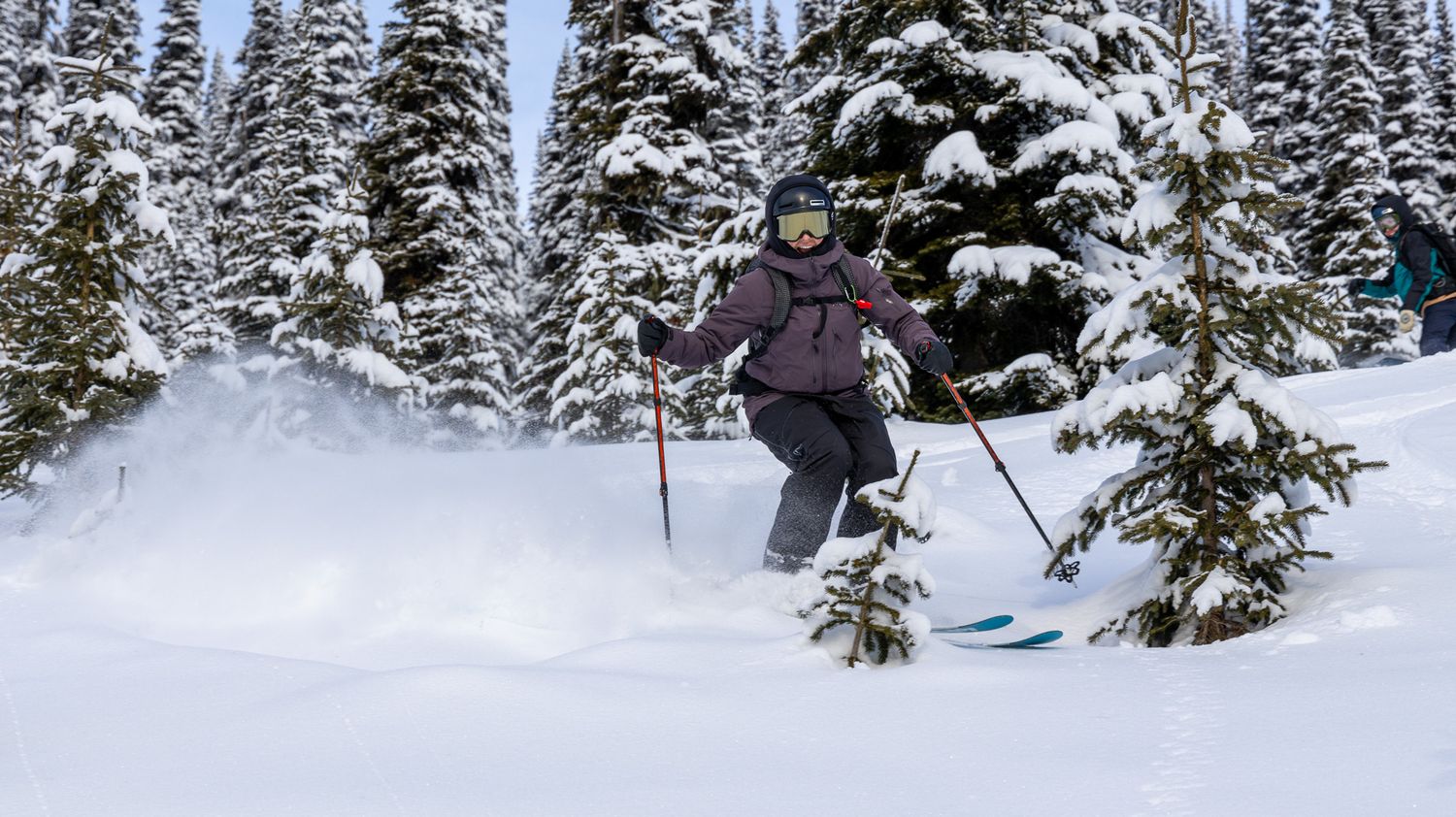 Powder skier carving through fresh snow between snow-dusted evergreen trees.