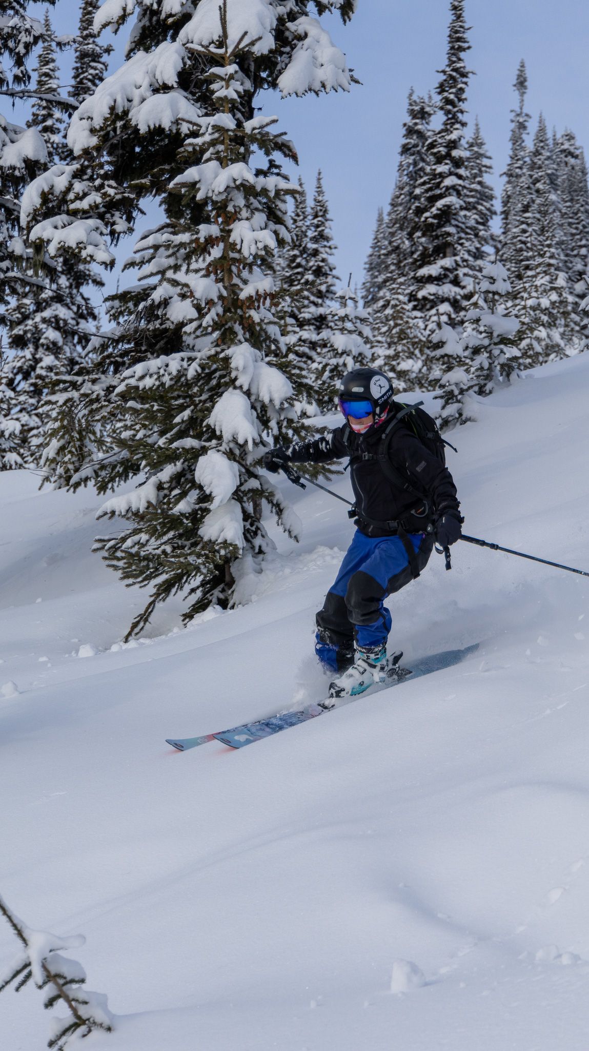 A backcountry skier navigates through snow-covered pine trees in winter mountain terrain.