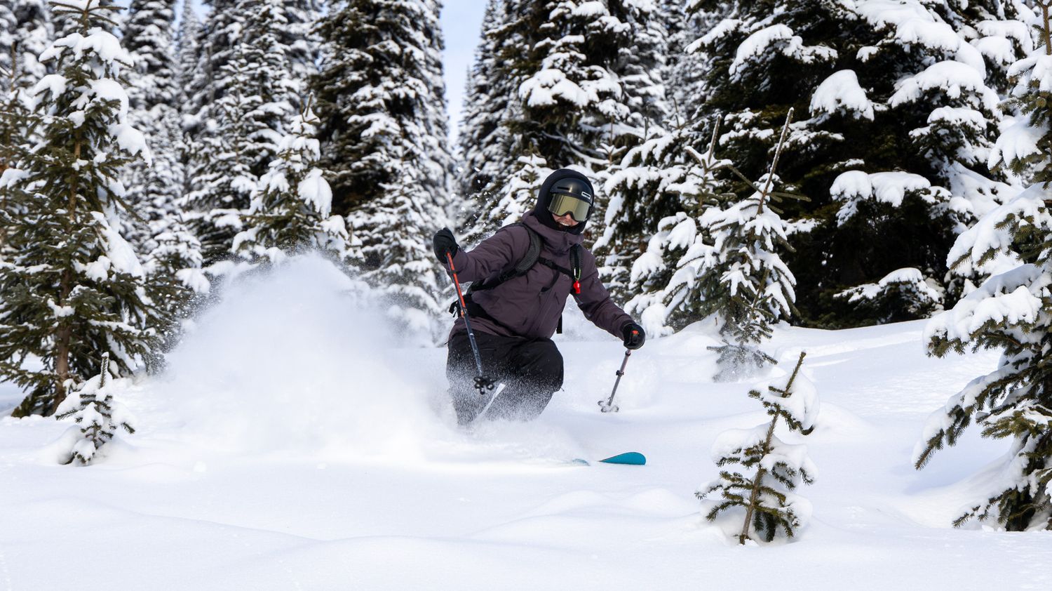 Skier gliding through deep powder snow among snow-laden evergreen trees.