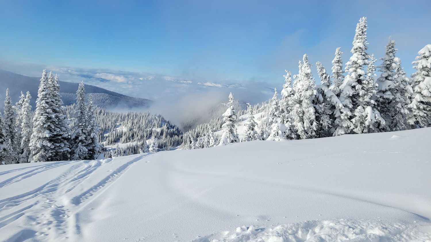 Pristine snow-covered landscape with frost-coated trees stretching across mountainous terrain.