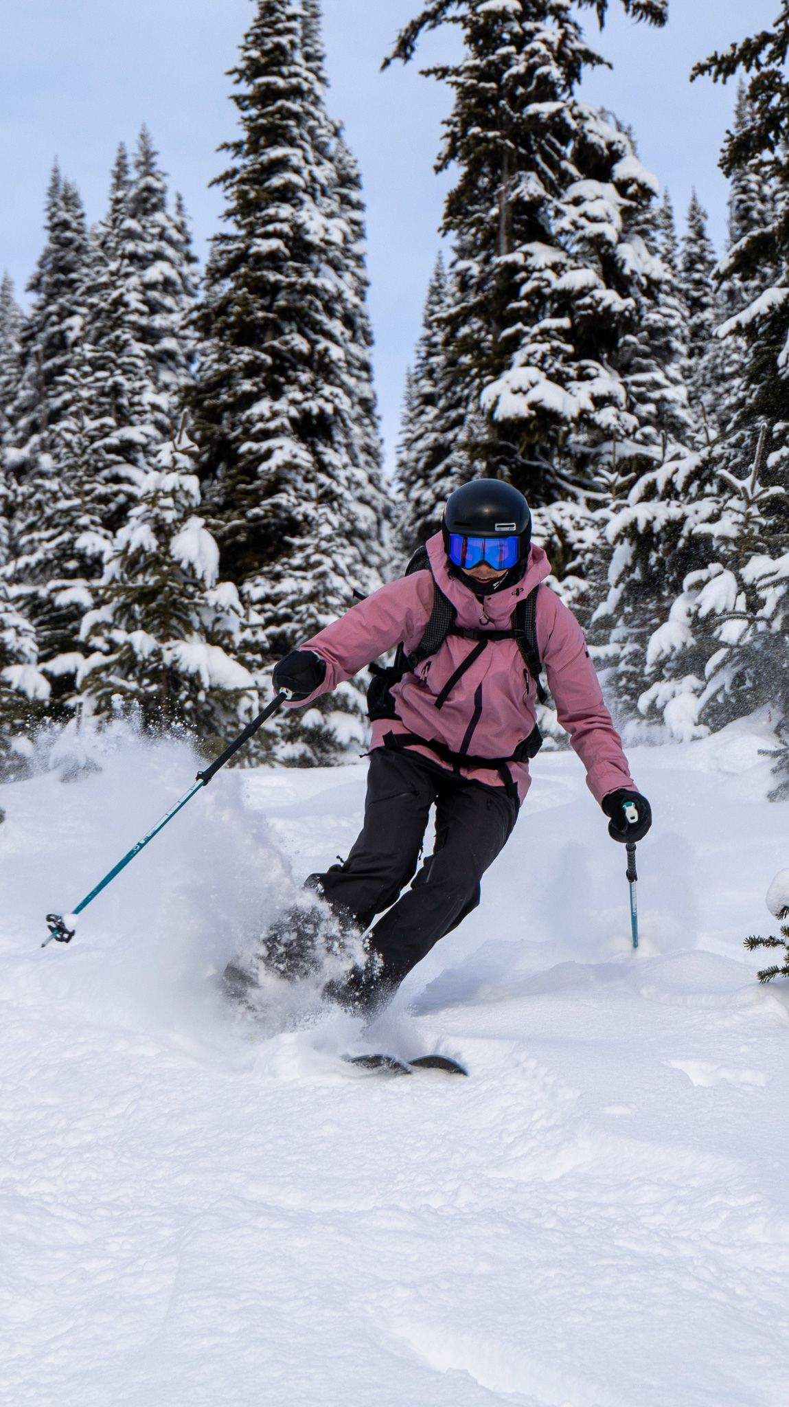 Skier carving through fresh powder snow among snow-covered evergreen trees in winter mountain conditions.