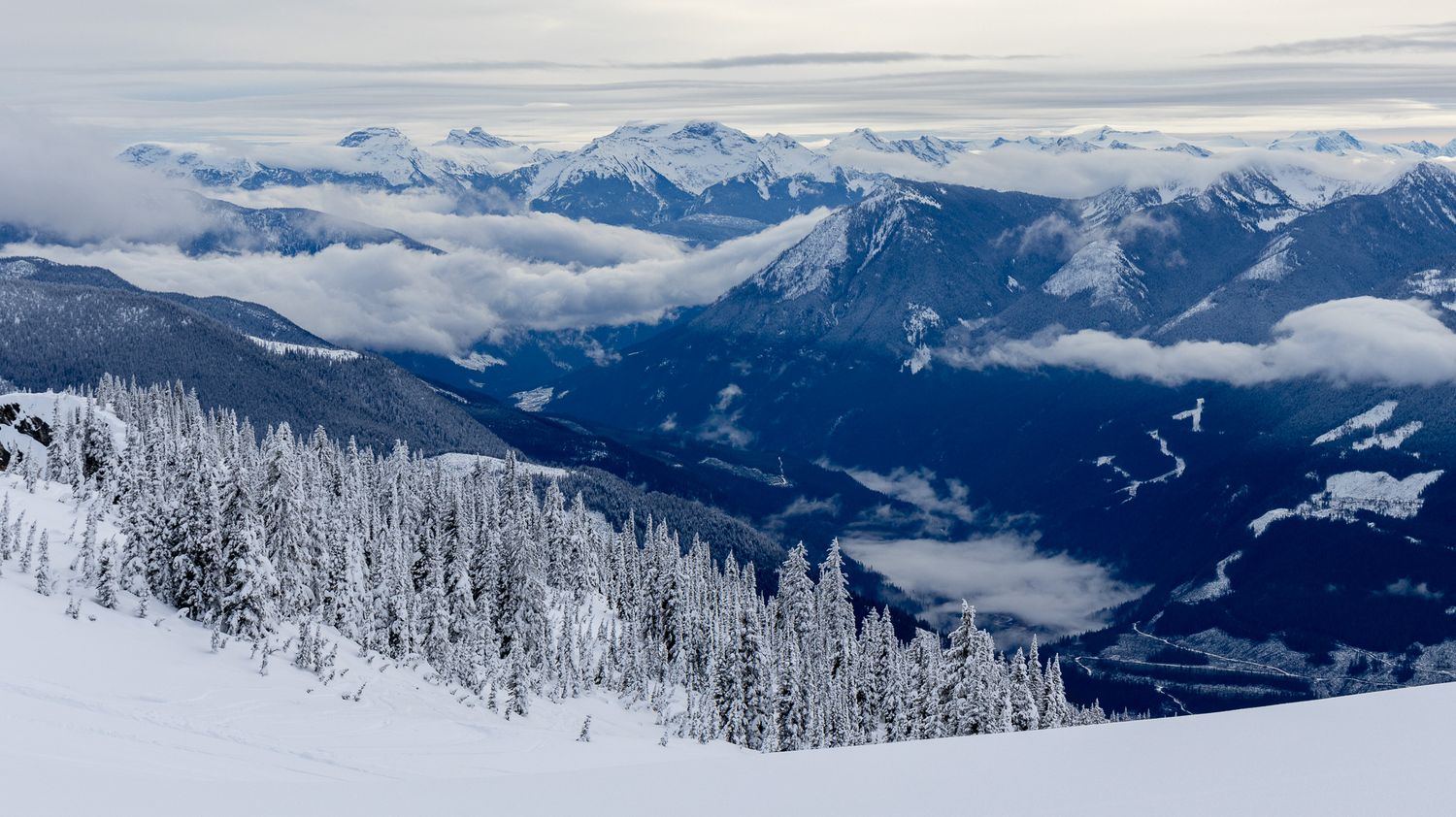 Snow-covered mountain vista with evergreen forest and valley clouds in winter scenery.