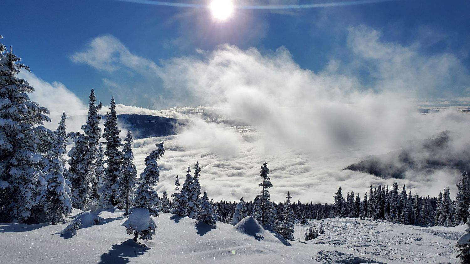 Sun shines brightly over snow-covered mountain terrain with evergreen trees in winter.