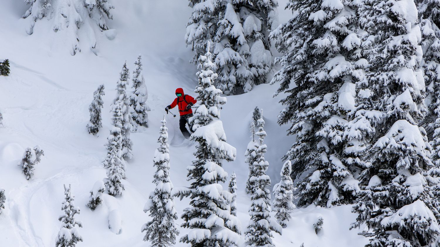 Skier jumping through powder snow between snow-laden evergreen trees in mountain terrain.