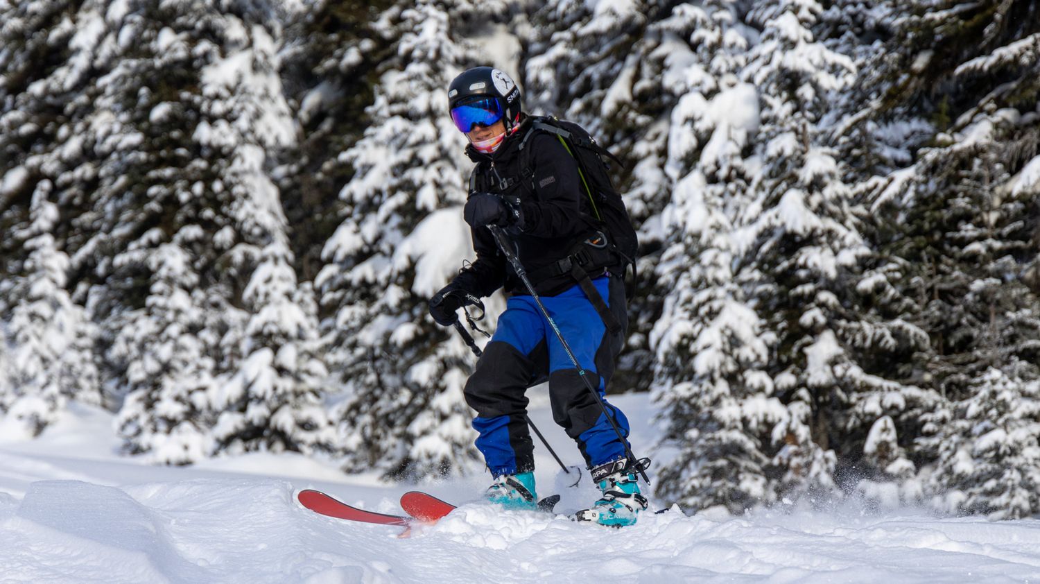 A skier in blue pants carves down a snowy slope between snow-laden evergreen trees.