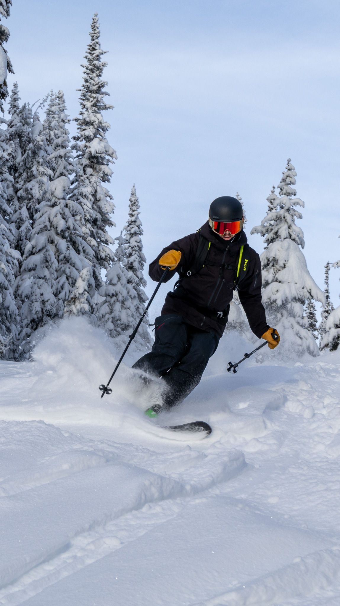 Skier carving through fresh powder snow between snow-covered evergreen trees in winter terrain.