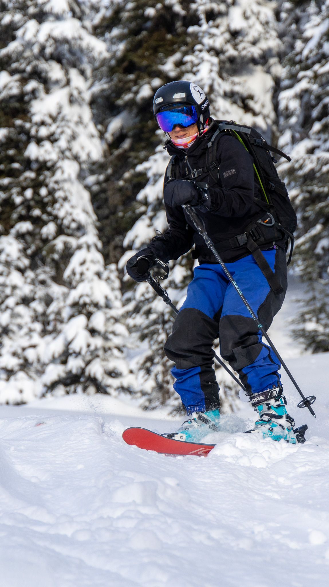 A skier in black and blue gear performs a turn on a snowy slope surrounded by evergreens.