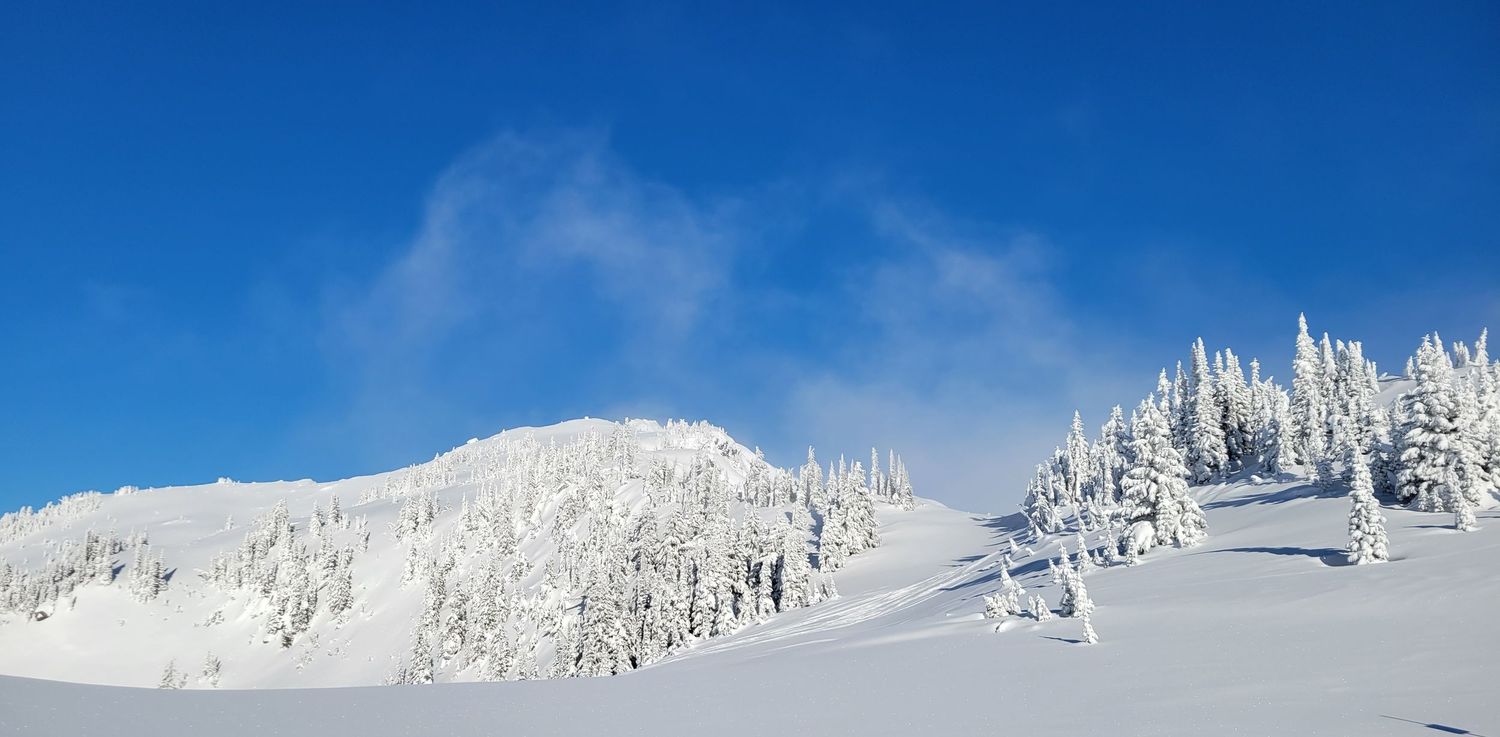 Snow-covered mountain peak rises against blue sky with frost-covered trees in foreground.