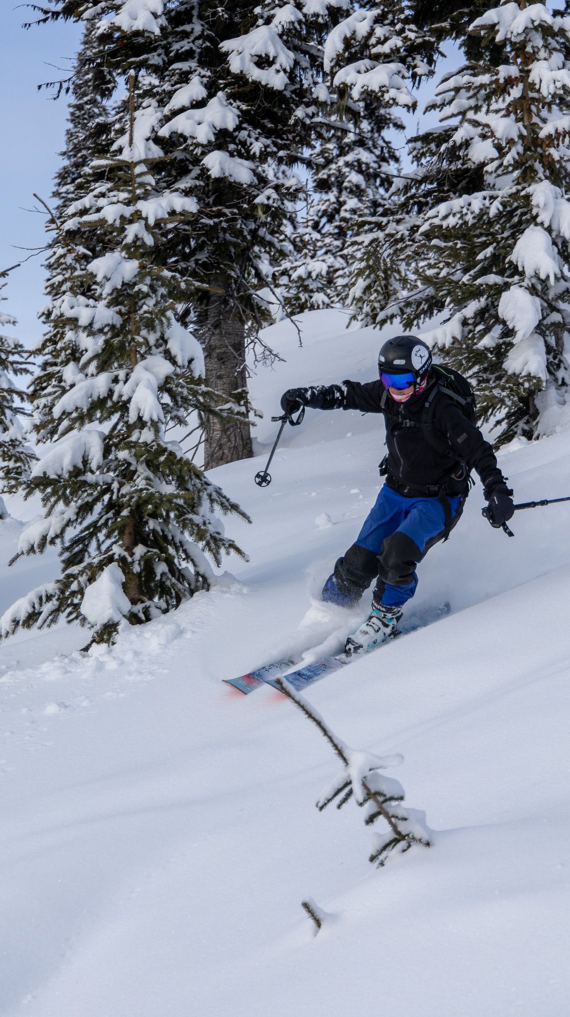 A skilled skier carves through pristine powder snow between snow-laden evergreen trees.