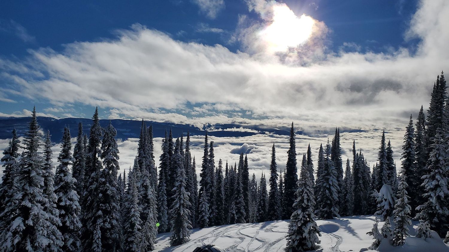 Snow-covered evergreen forest stretches across mountainous terrain under bright winter sky.