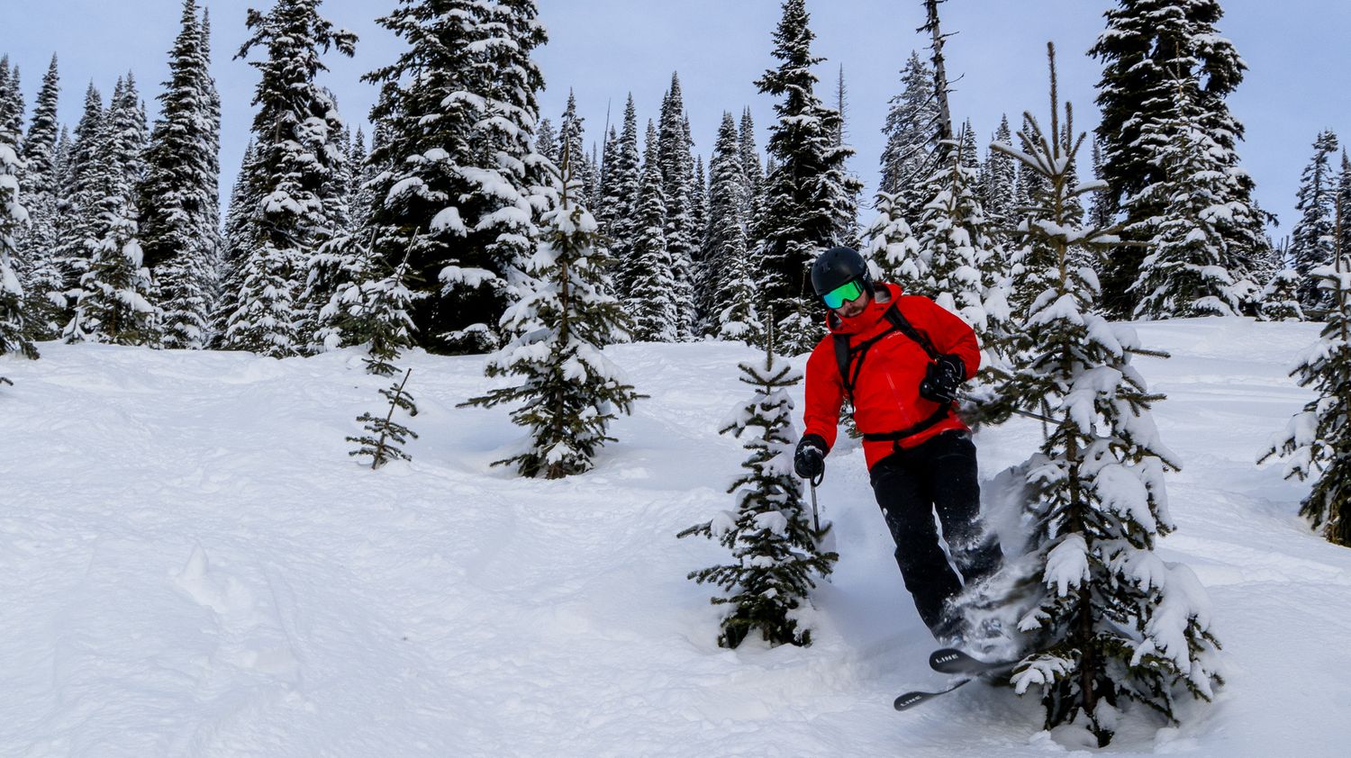 A skier in bright red gear glides through powder snow between snow-covered pine trees.