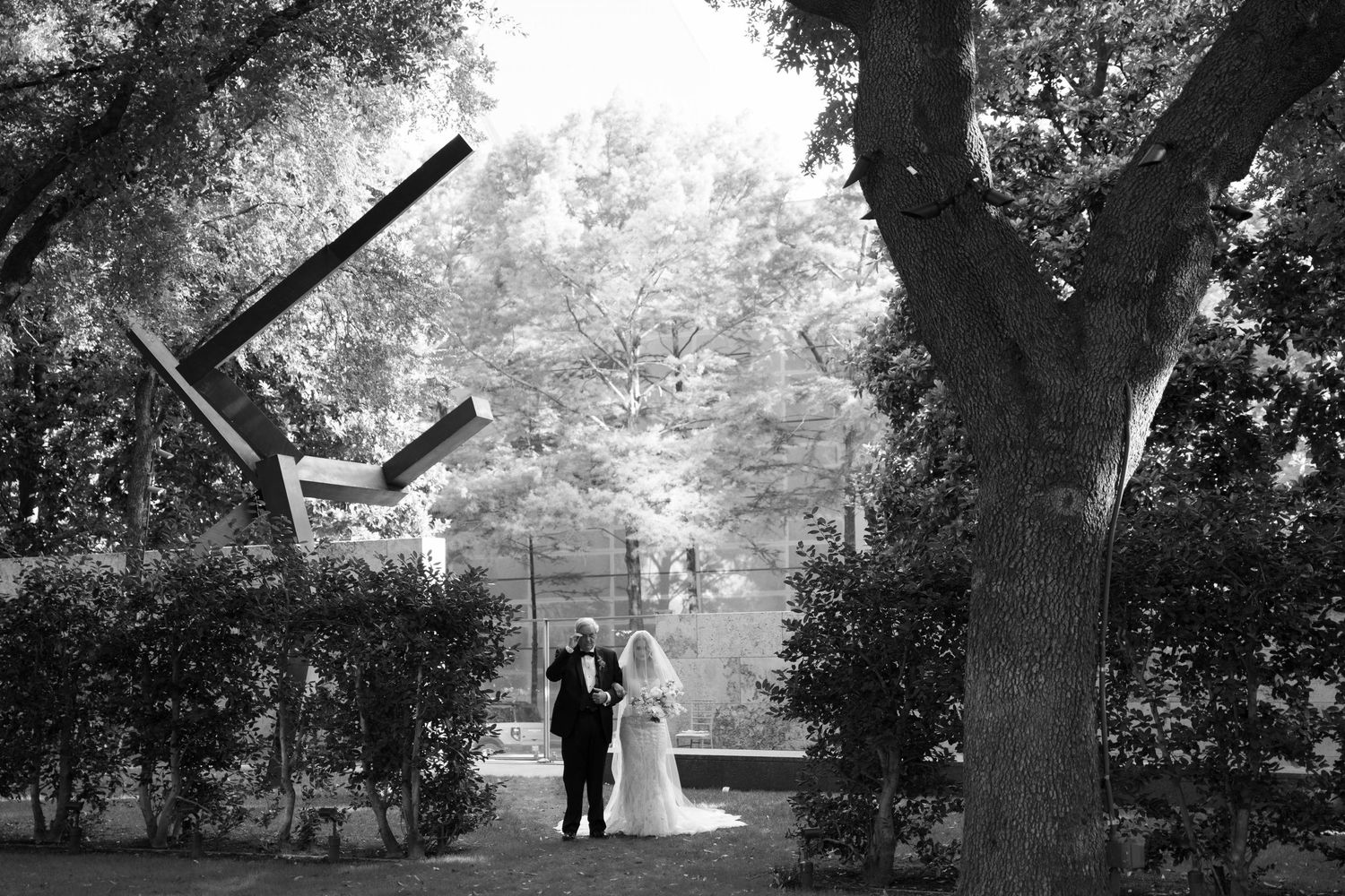A black and white photographic sequence showing figures walking through a tree-lined path in a misty park setting.
