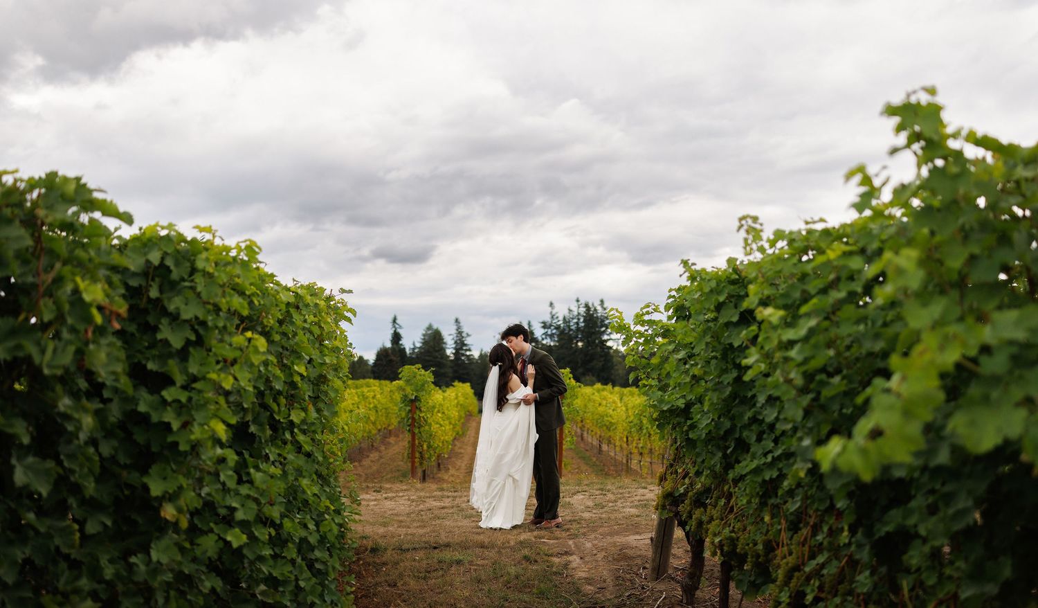 Romantic portrait of newlyweds walking through a vineyard on an overcast day.