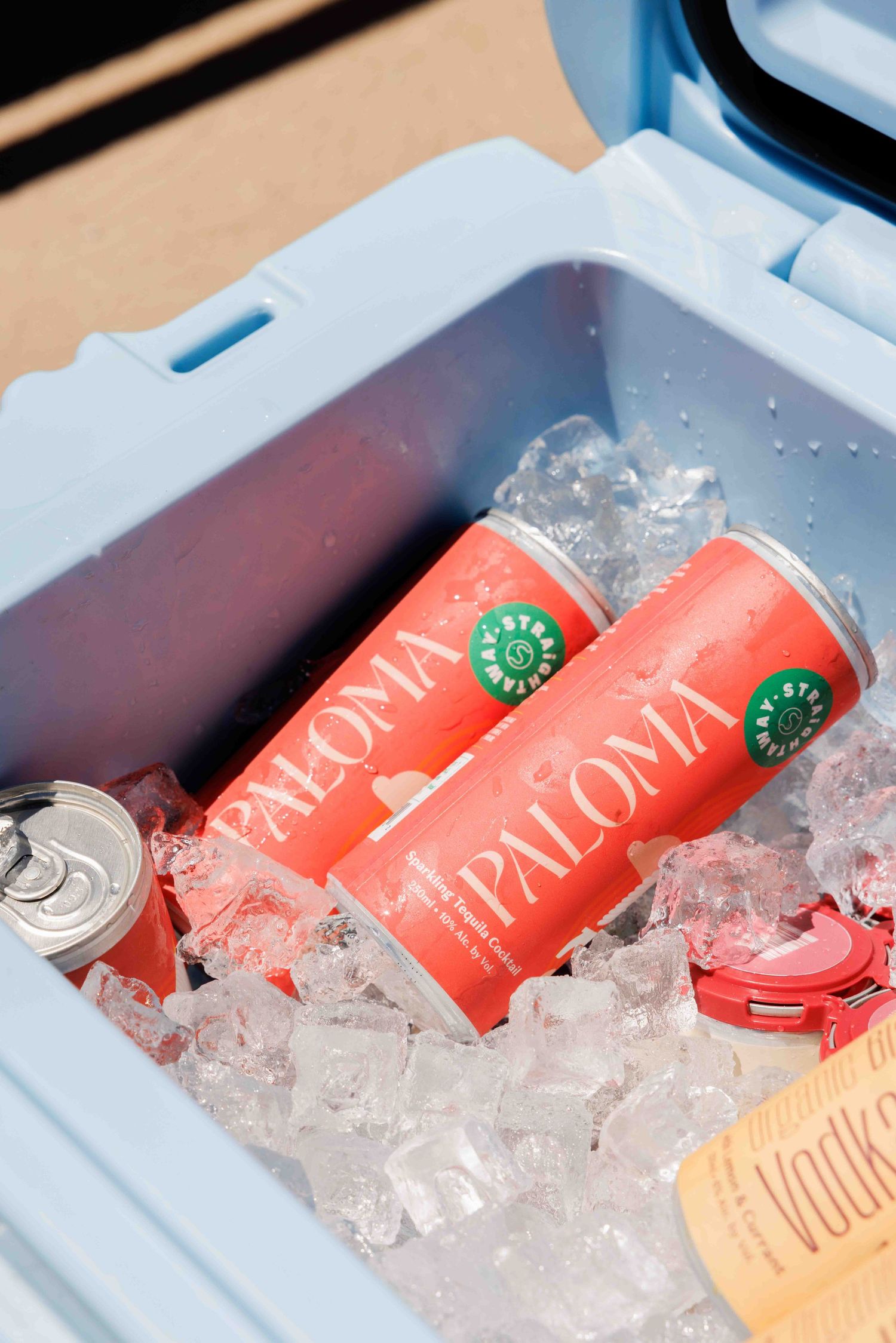Cans of coral pink Pacifico beer chilling in ice inside a white cooler.
