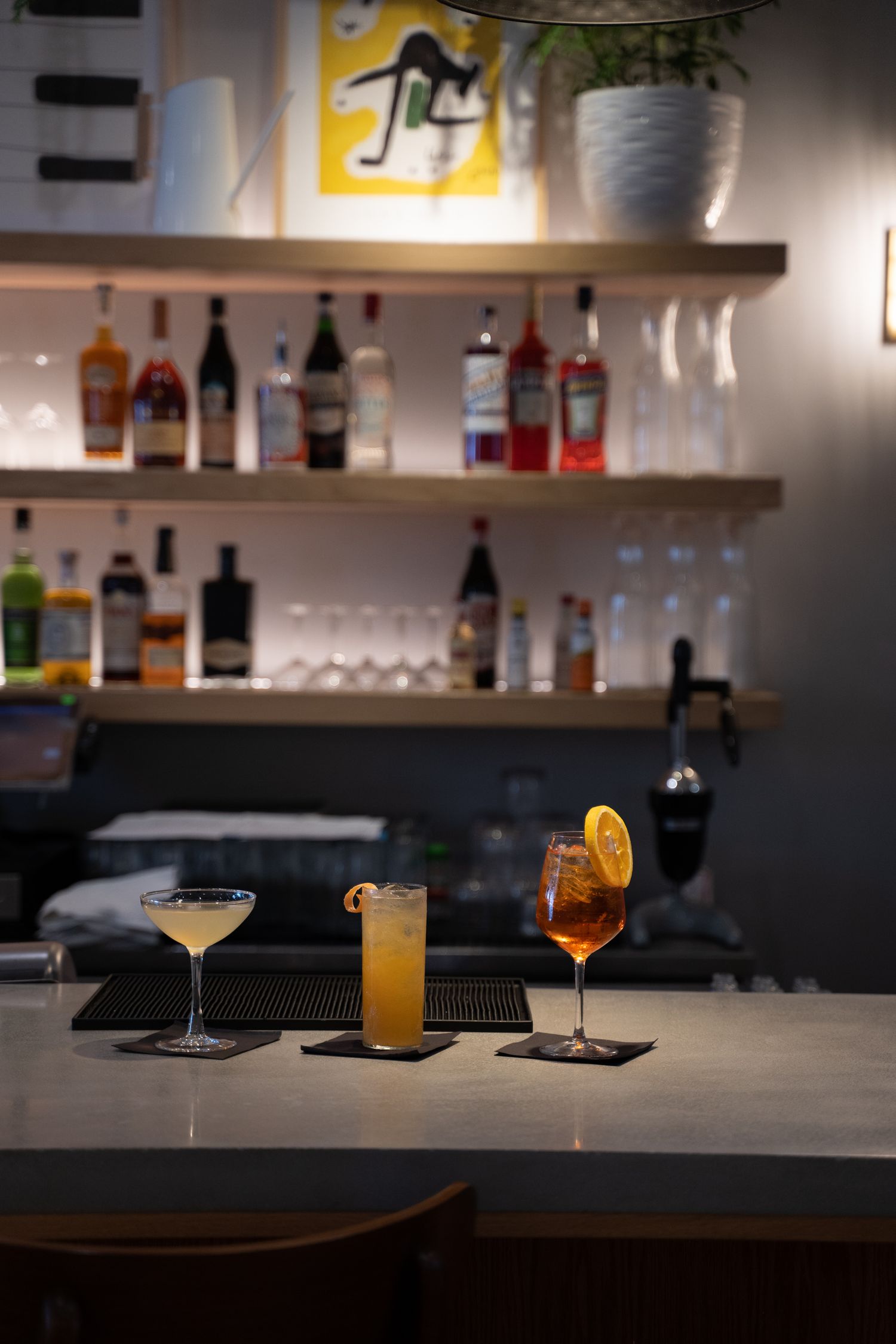 Four cocktails on a dimly lit bar with a moody atmosphere