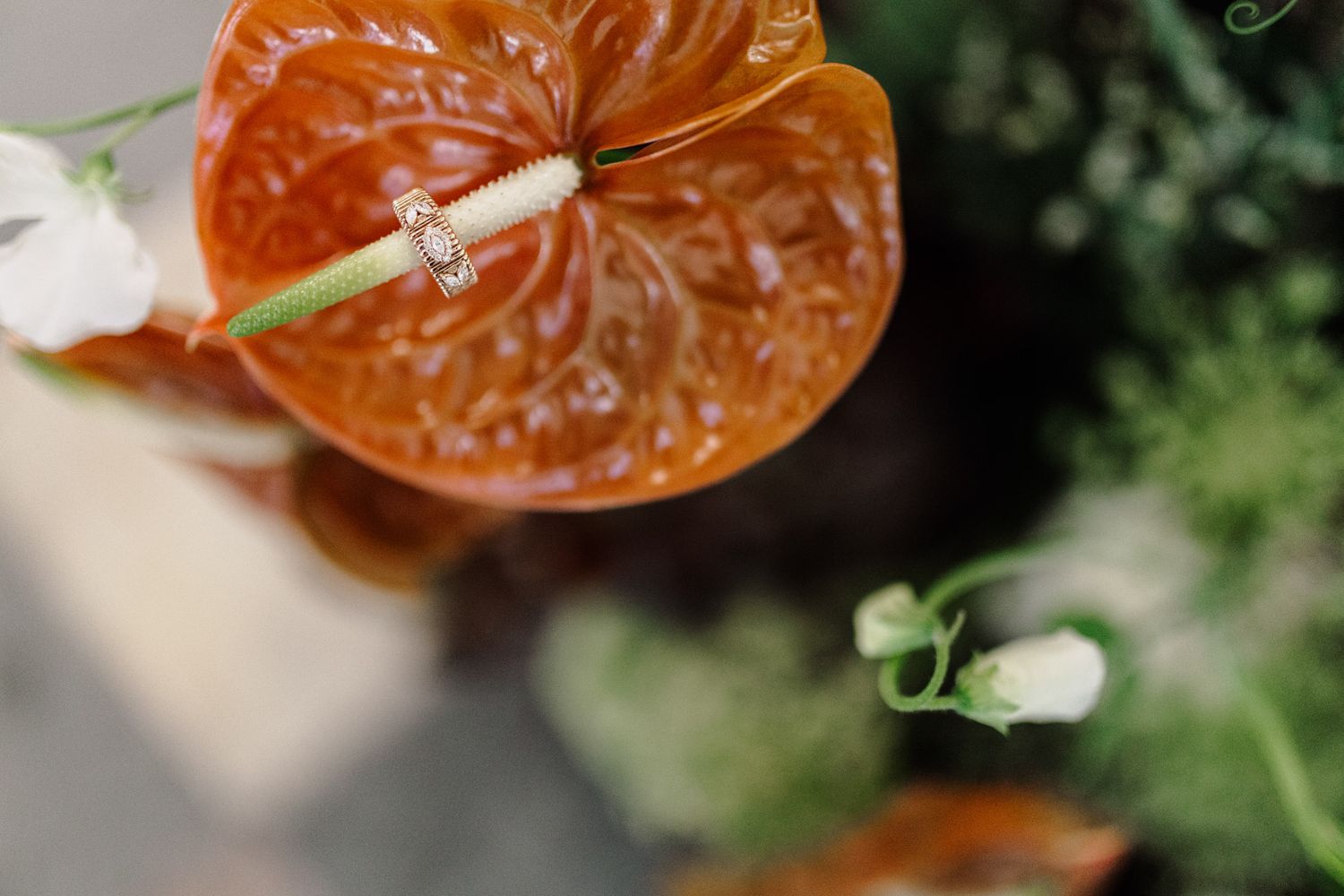 Macro shot of an orange anthurium flower with water droplets.