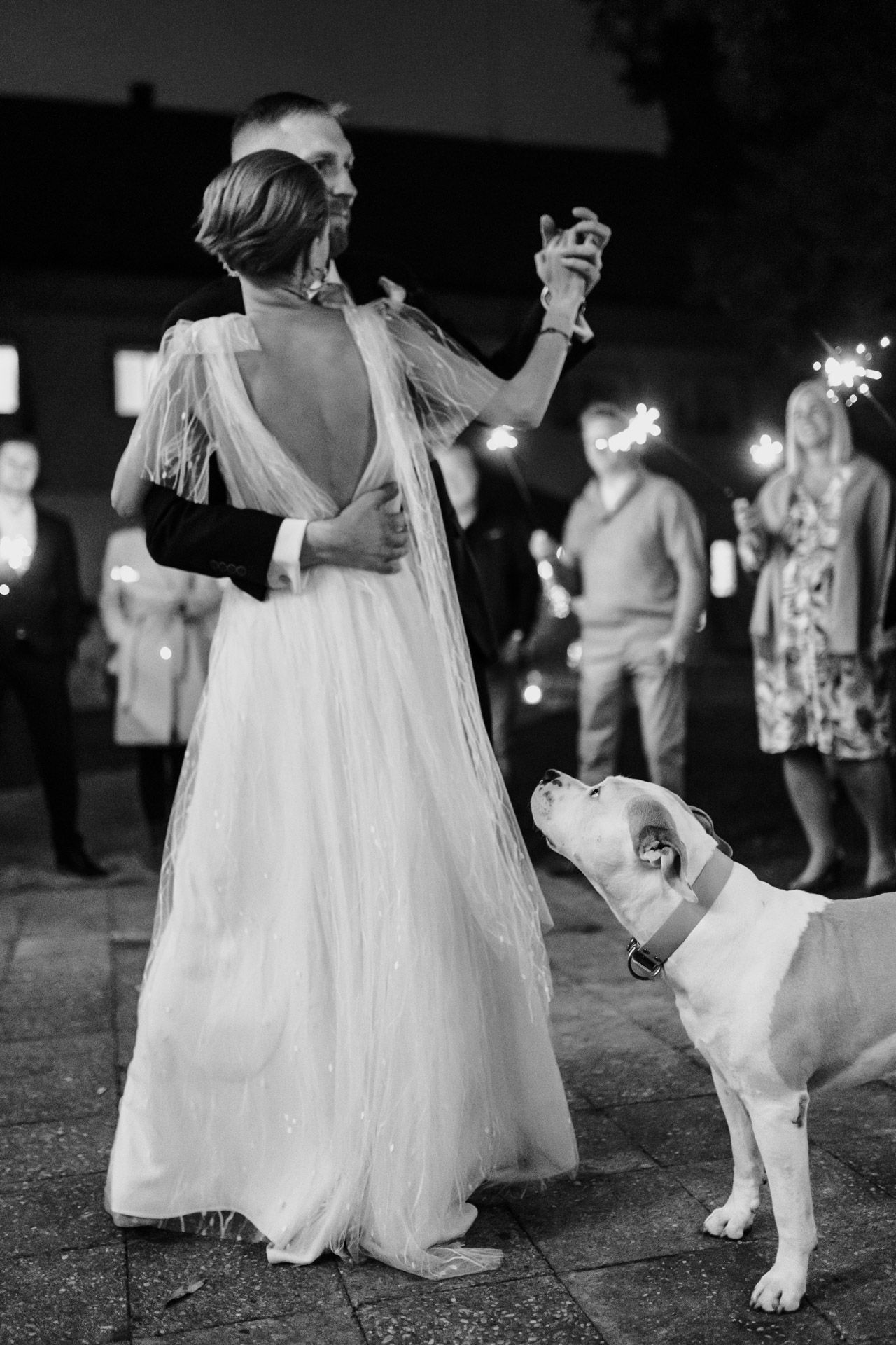 Sweet moment at wedding reception with white dress and friendly dog looking up at dancing couple.