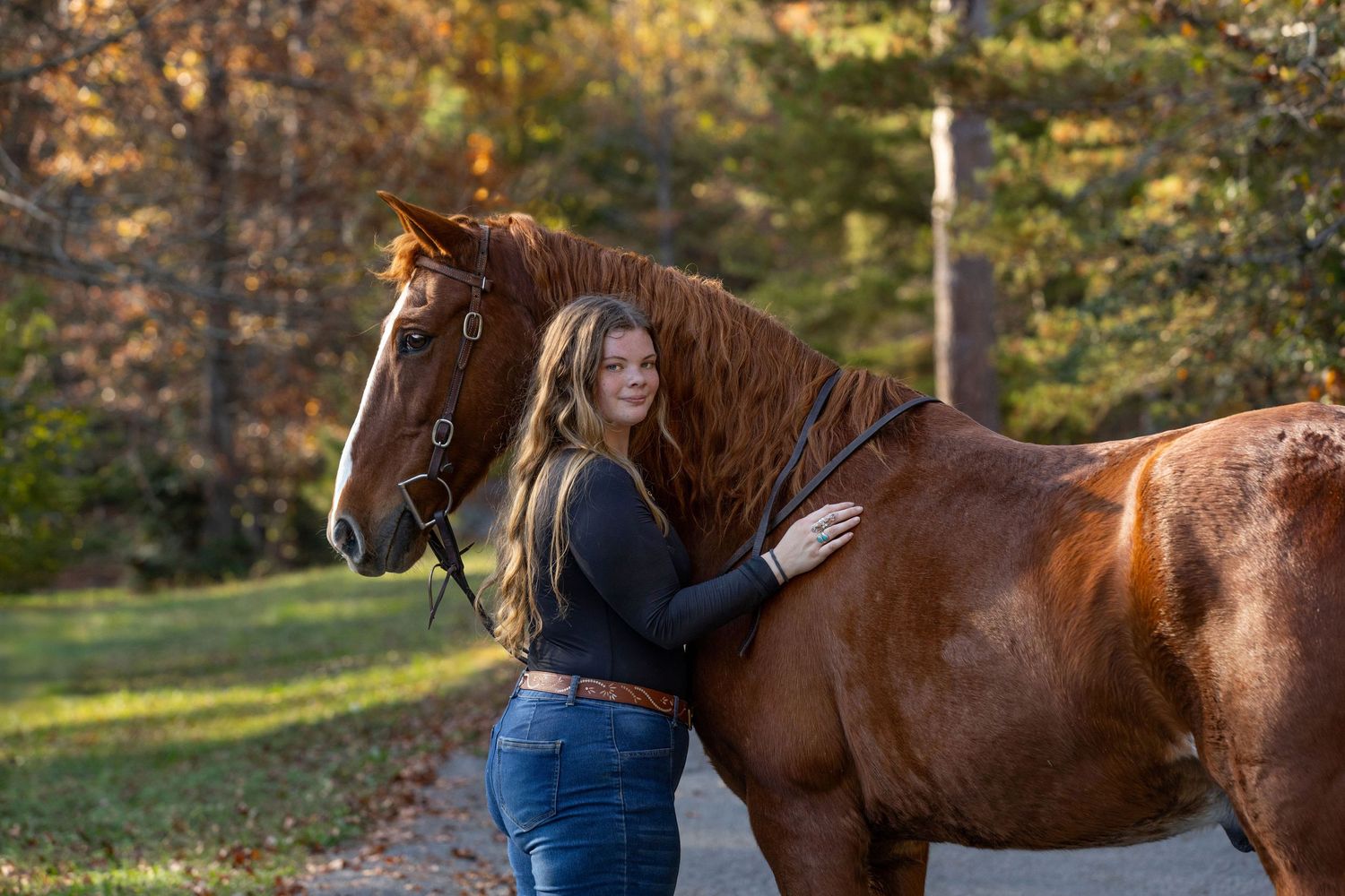 A brown horse and companion posing together on an autumn afternoon.