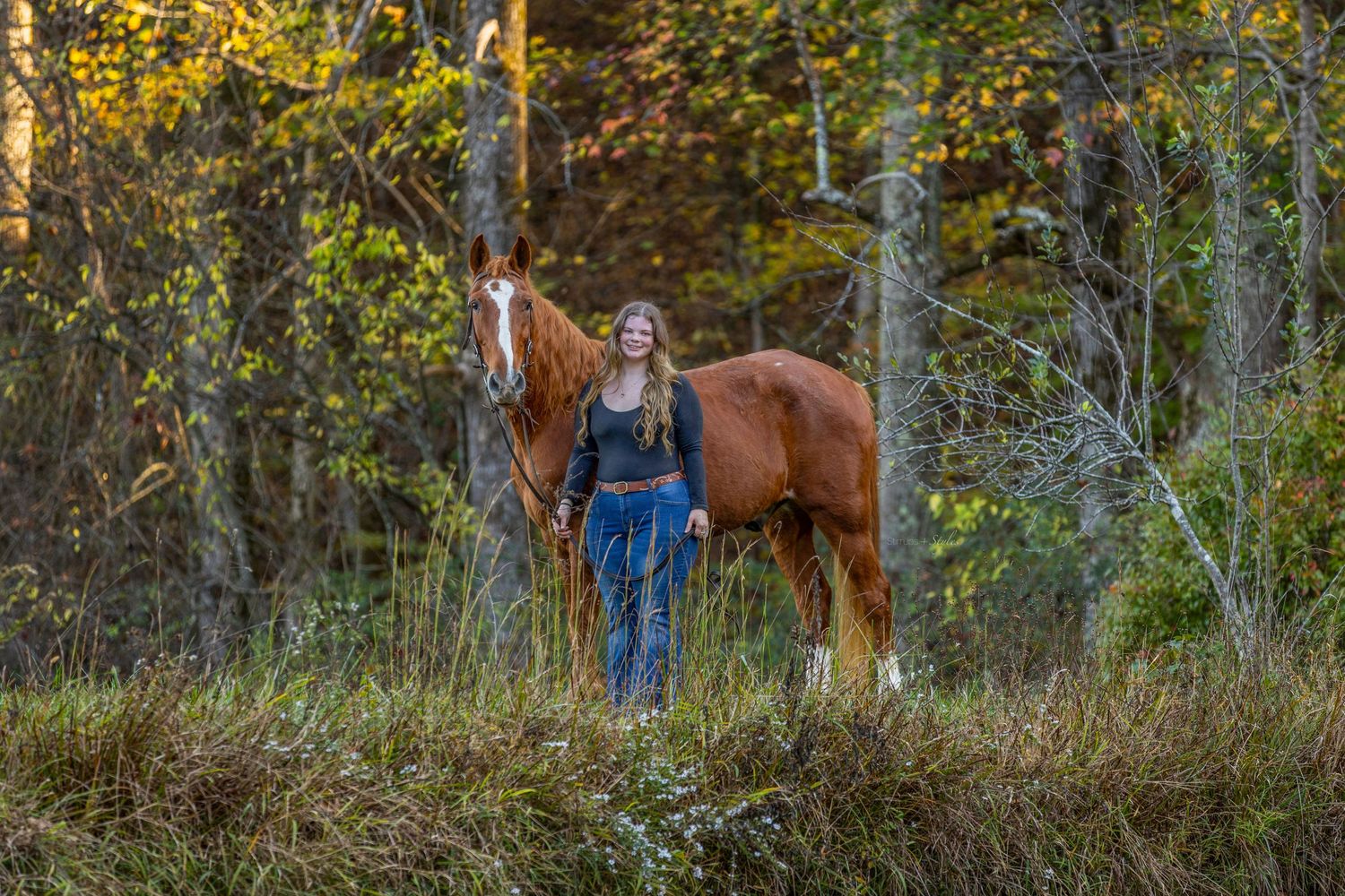 A beautiful chestnut horse and companion in a scenic autumn forest setting.