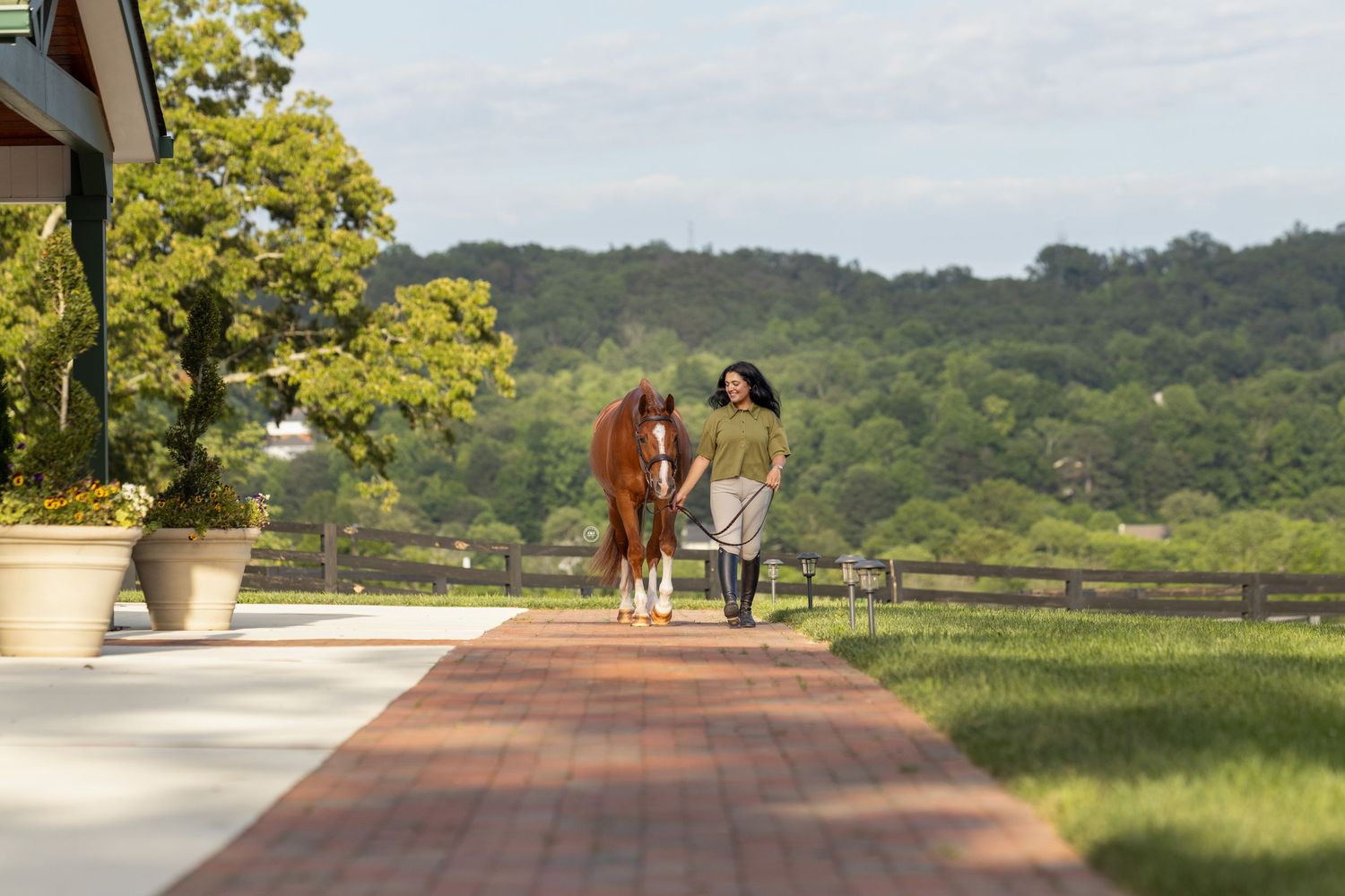 Person walking a chestnut horse along a brick path surrounded by lush green landscape on a sunny day.